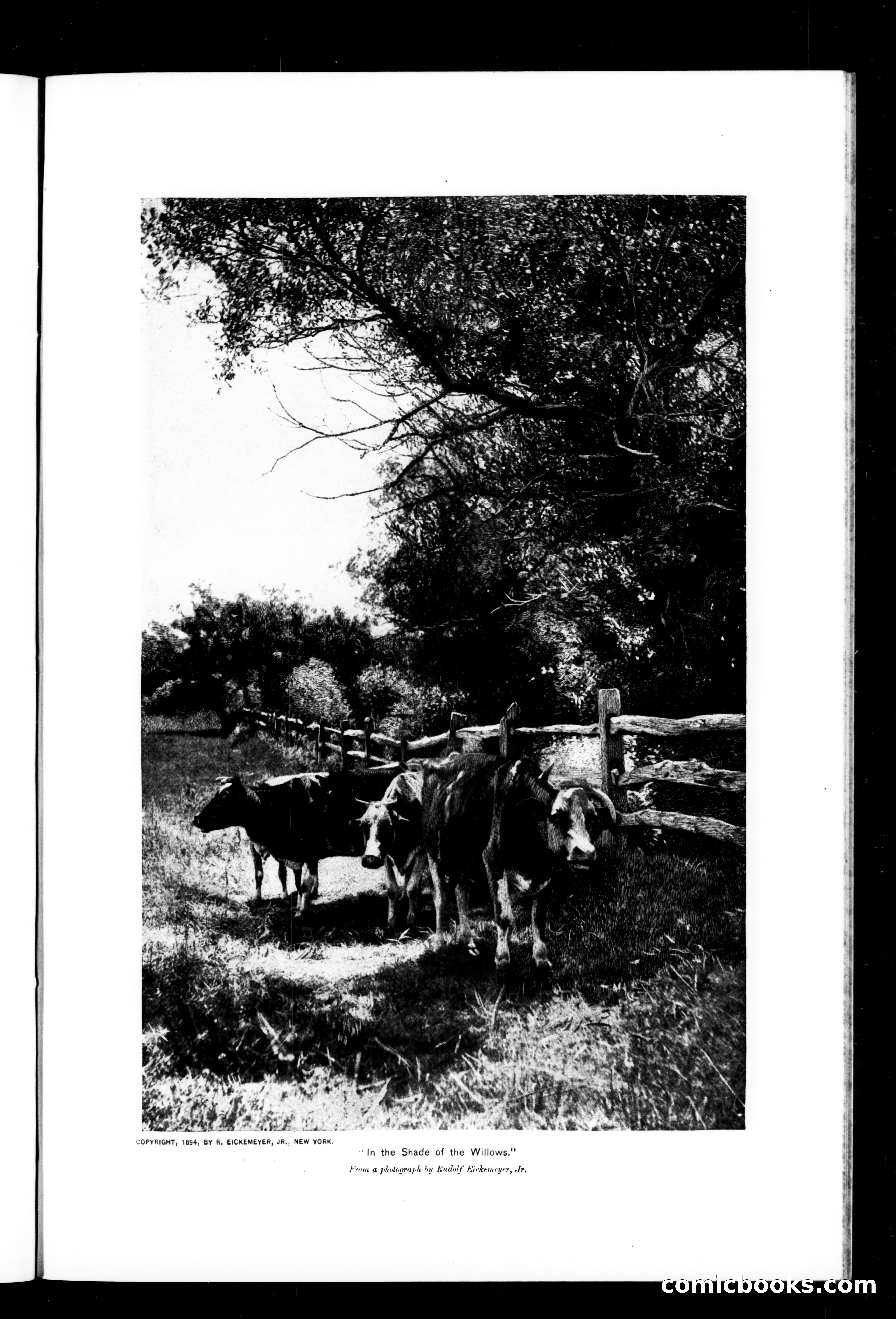 Munsey's Magazine, February 1896 — page 71 of 128
