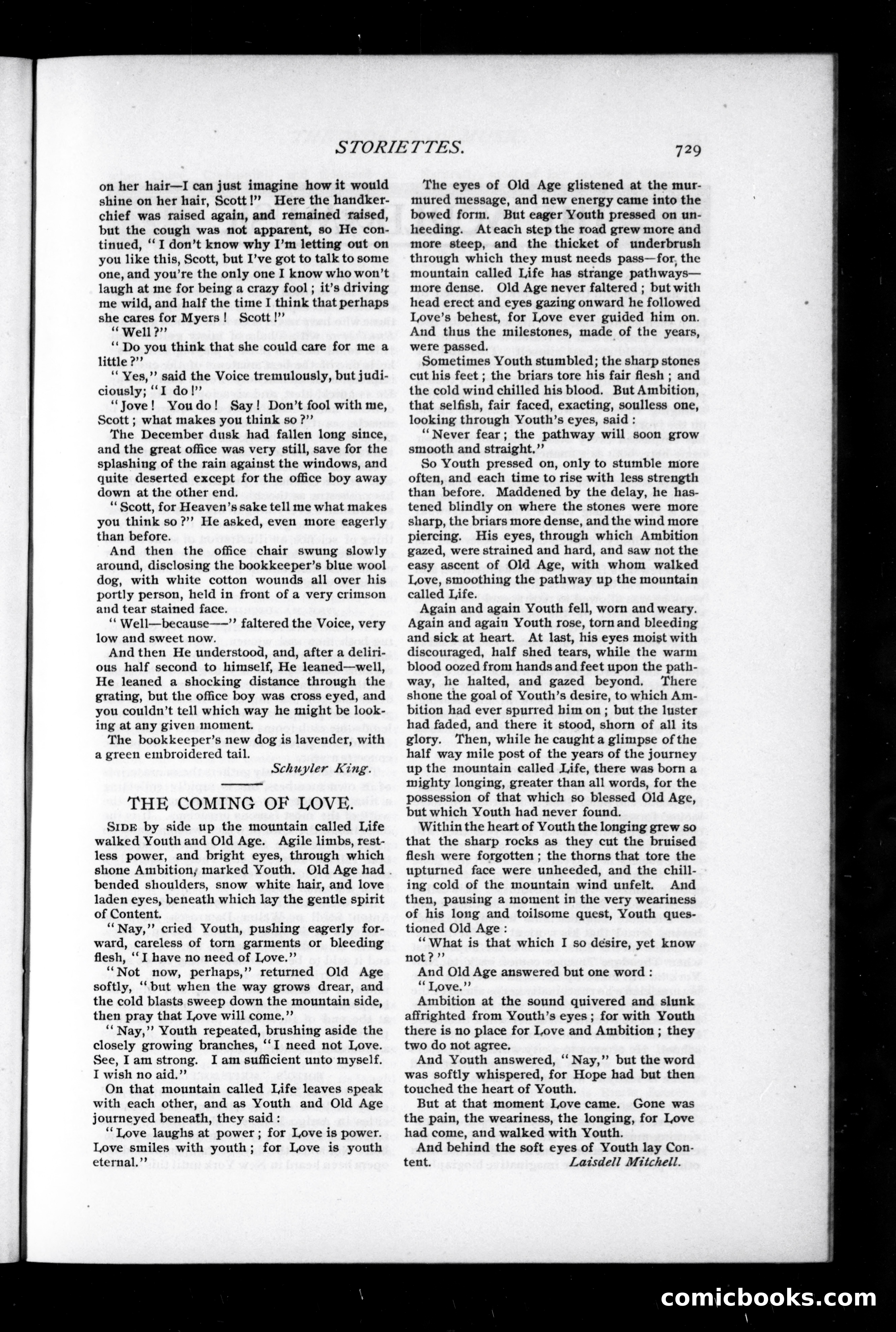 Munsey's Magazine, March 1896 — page 89 of 123