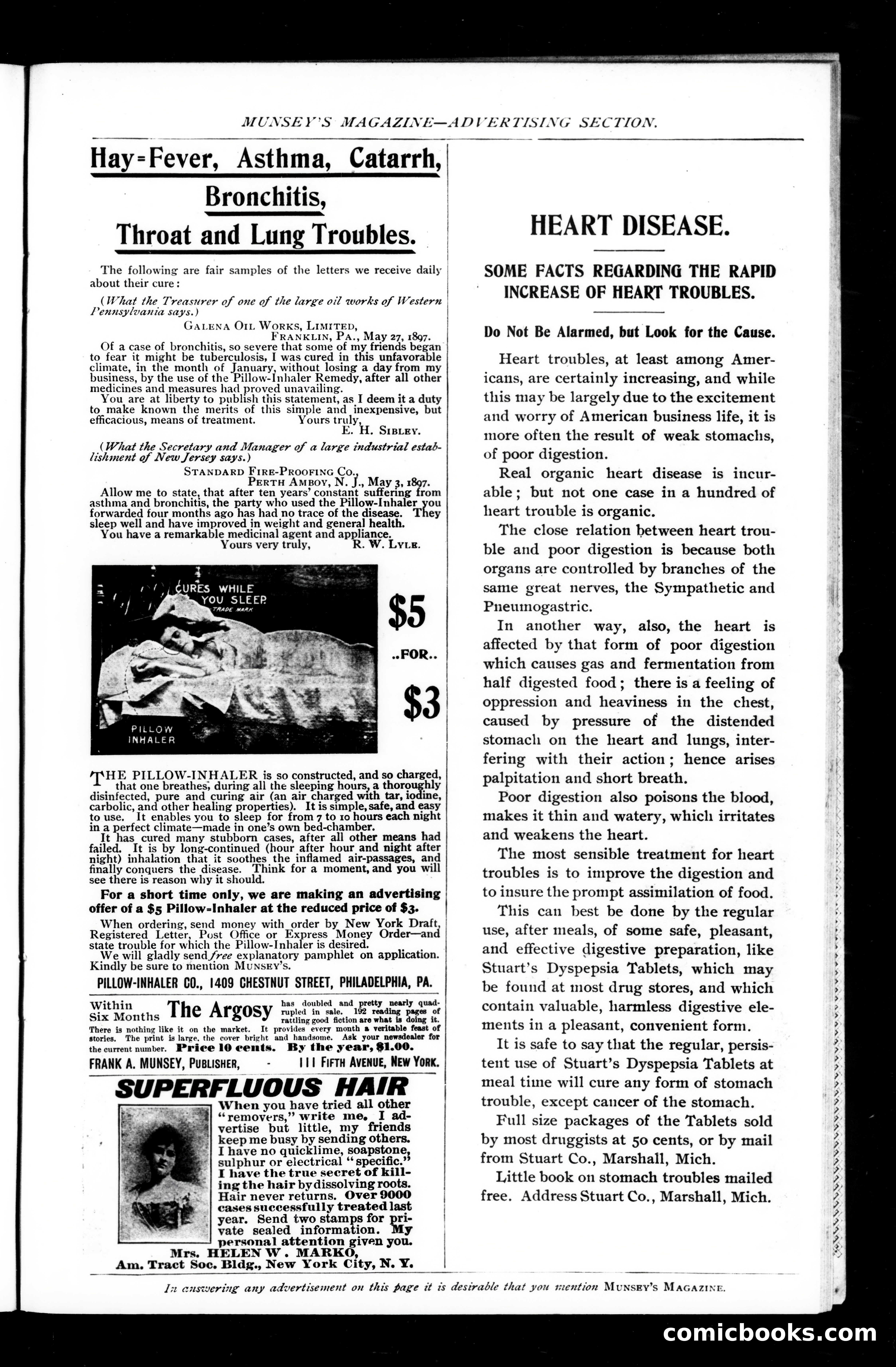 Munsey's Magazine, September 1897 — page 181 of 205