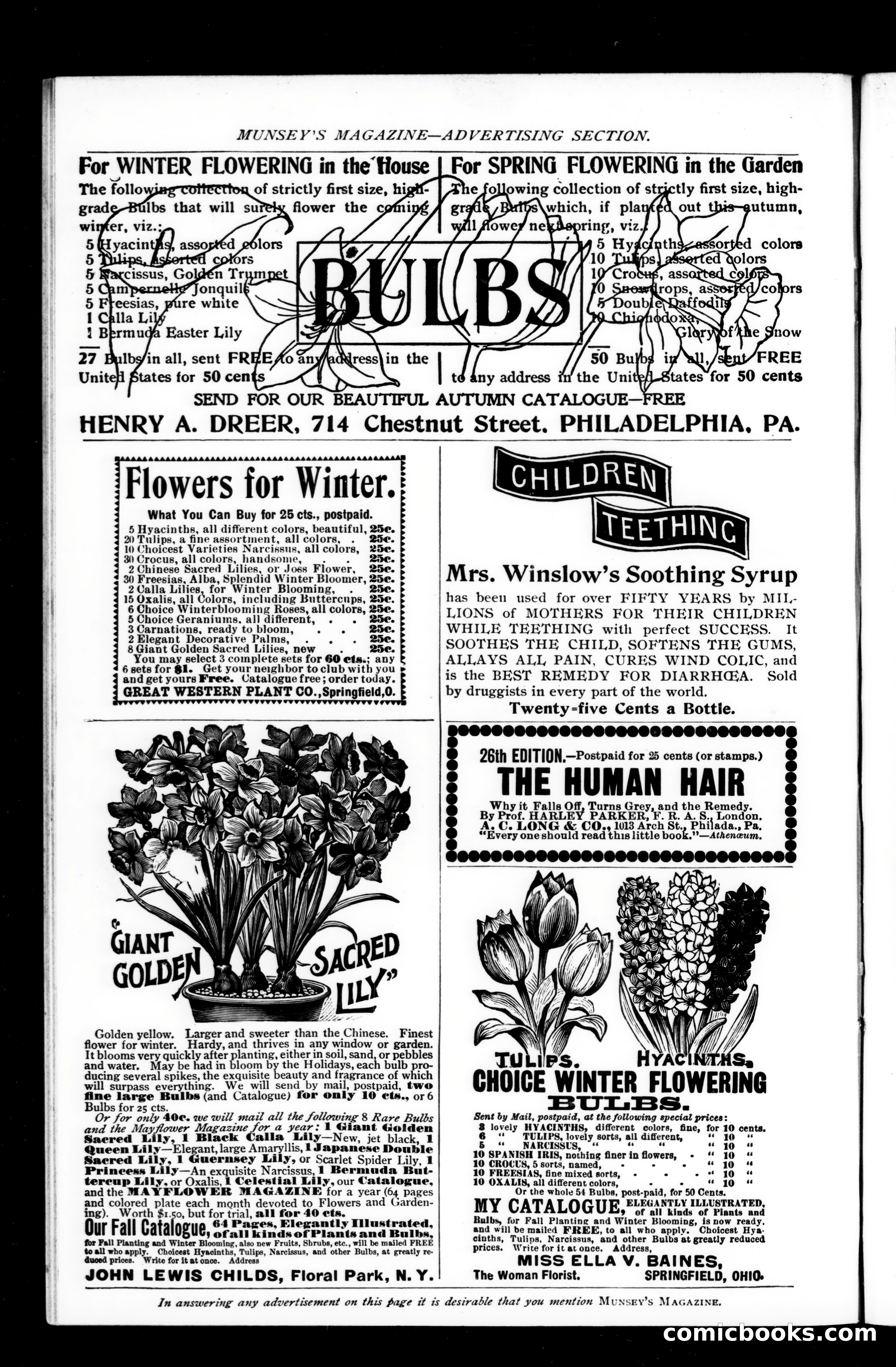 Munsey's Magazine, September 1897 — page 198 of 205