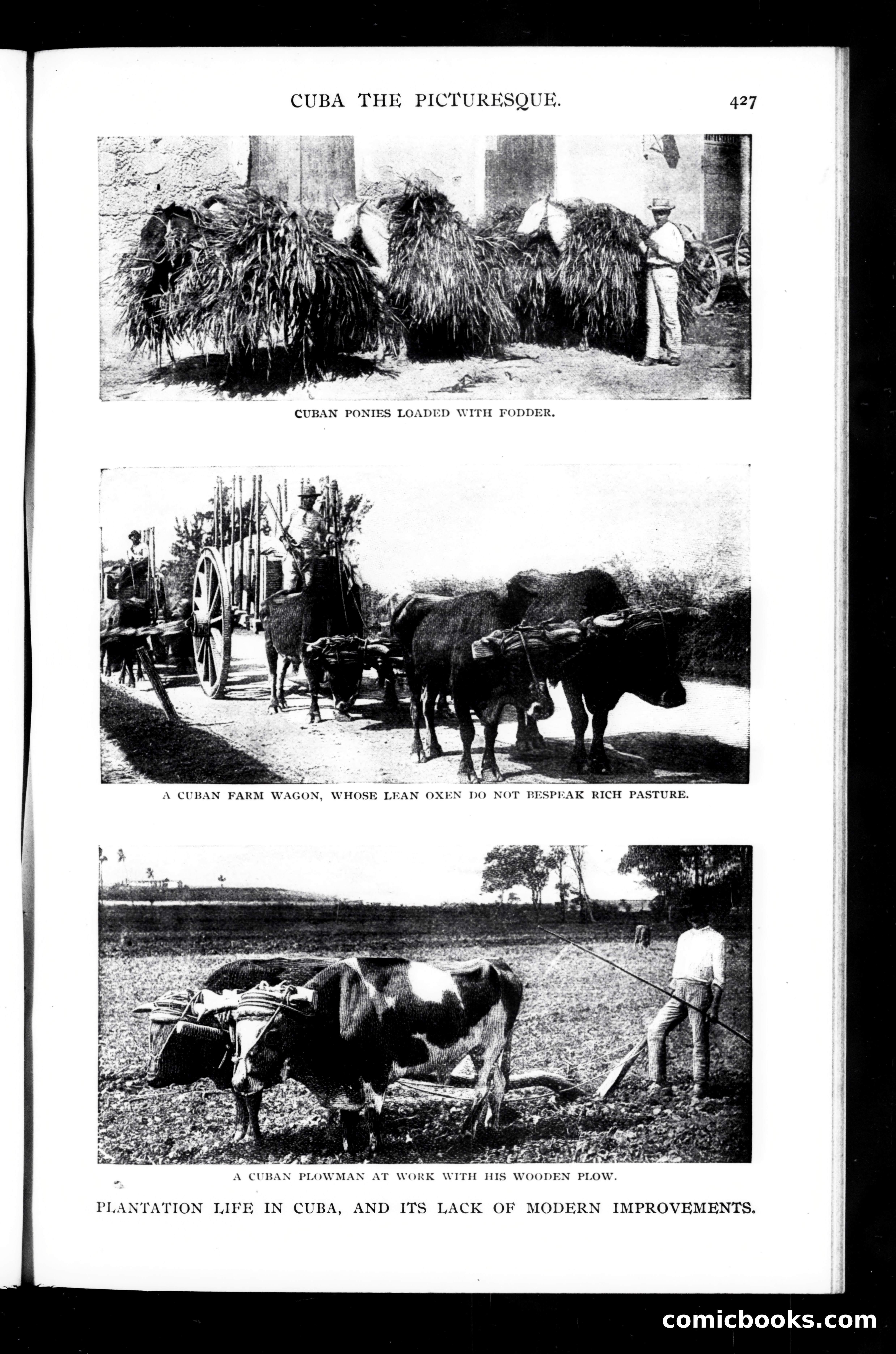Munsey's Magazine, December 1898 — page 103 of 164