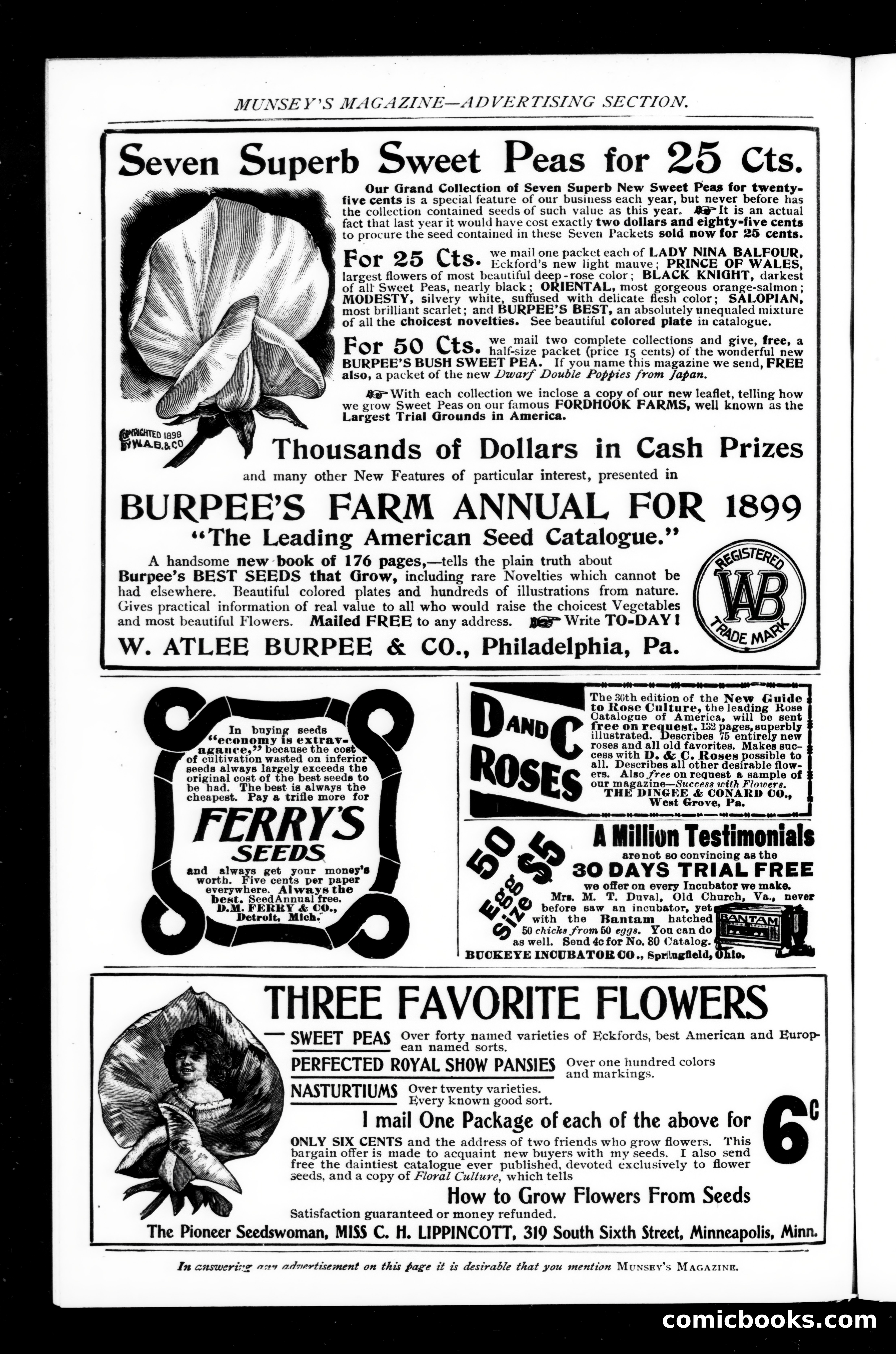 Munsey's Magazine, March 1899 — page 180 of 255