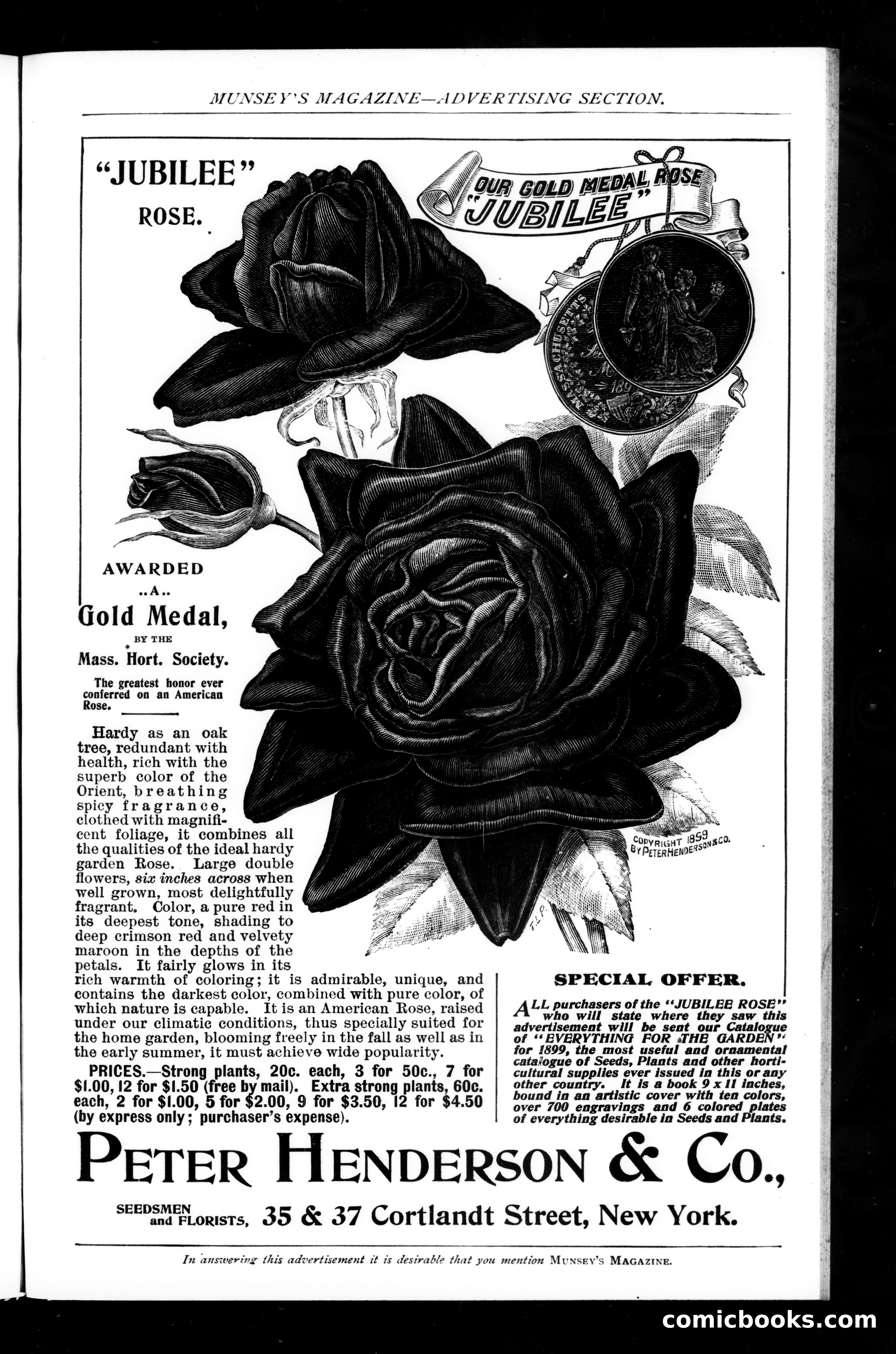 Munsey's Magazine, March 1899 — page 181 of 255