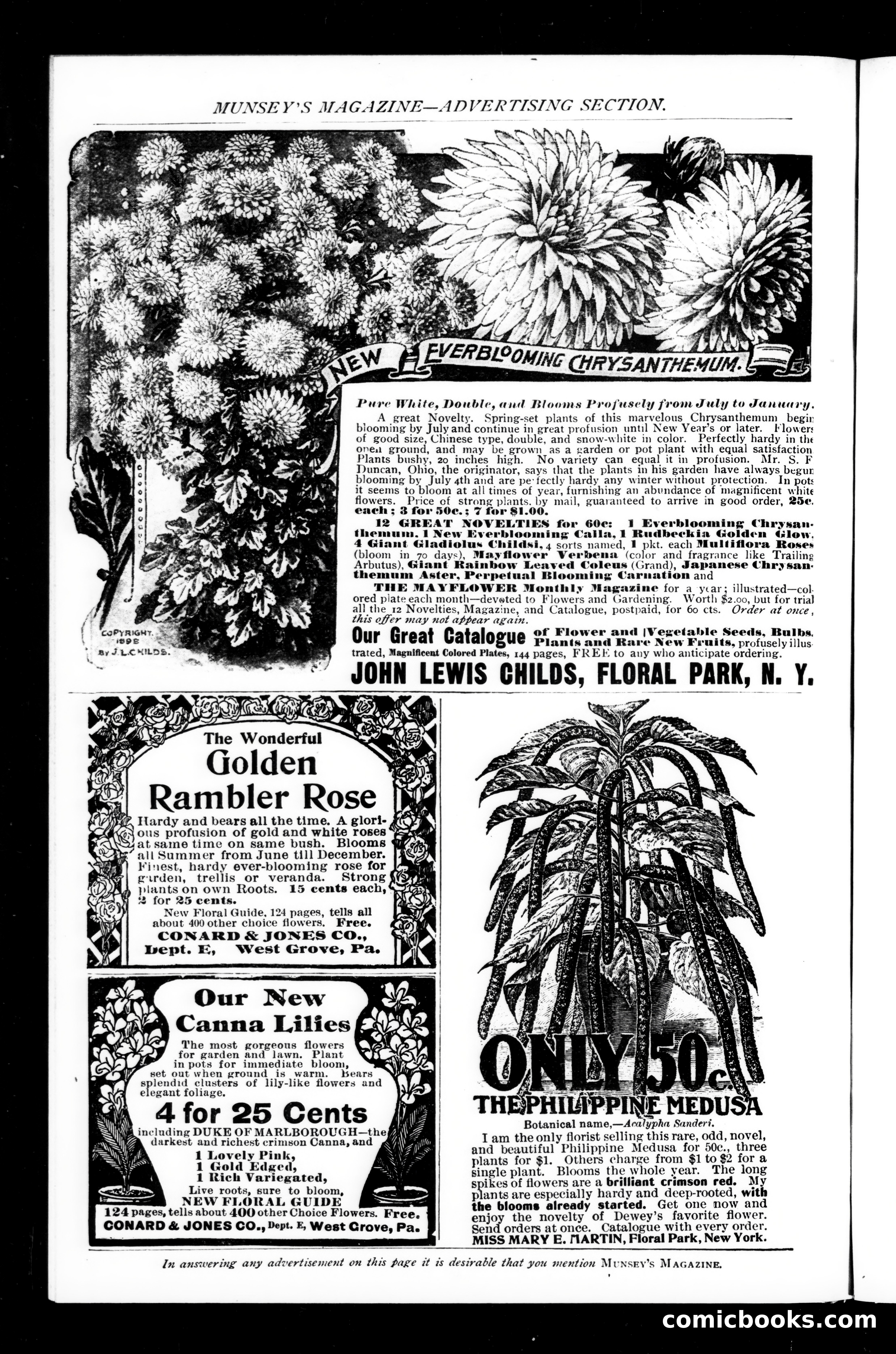 Munsey's Magazine, March 1899 — page 182 of 255