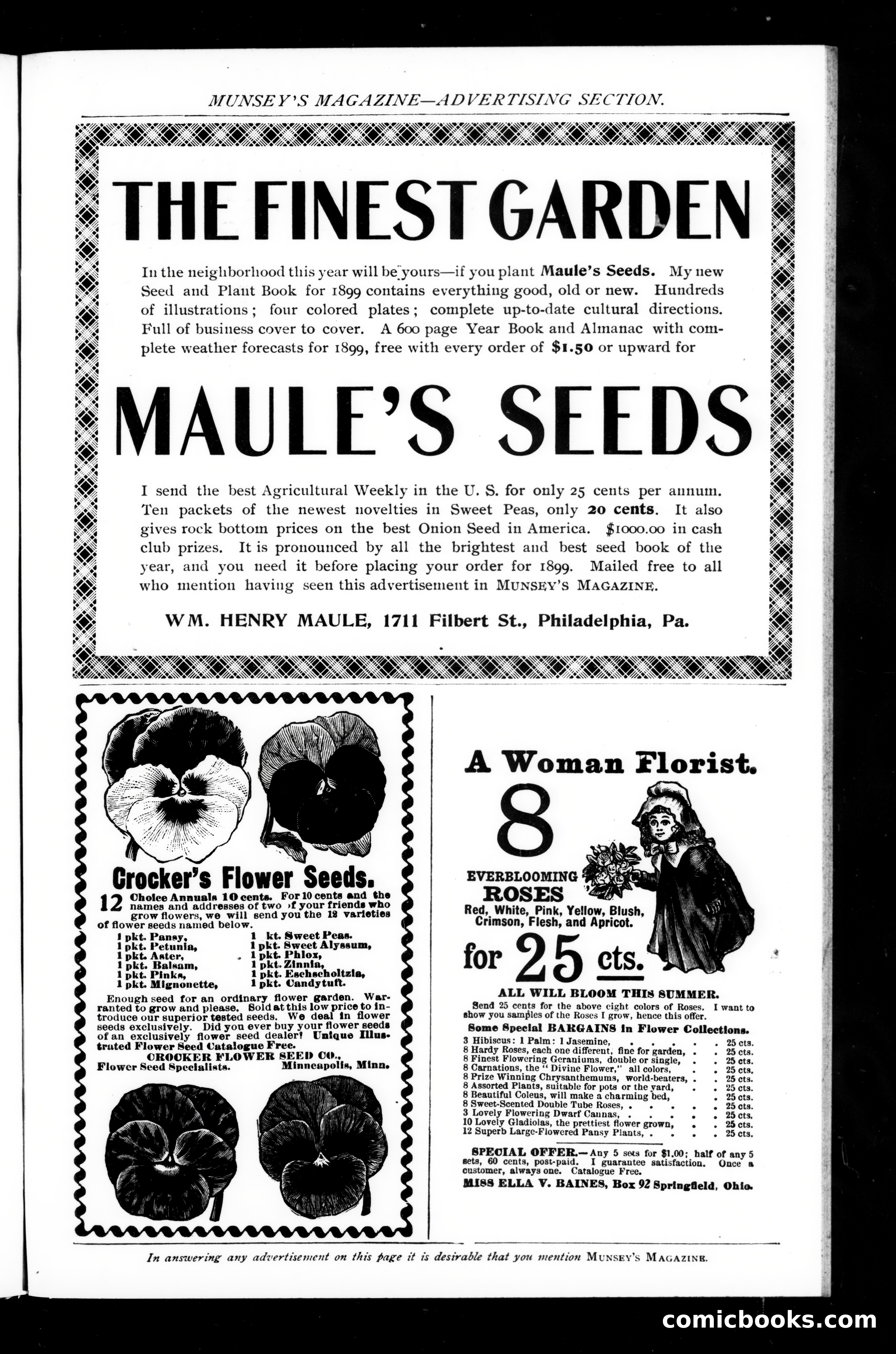 Munsey's Magazine, March 1899 — page 183 of 255