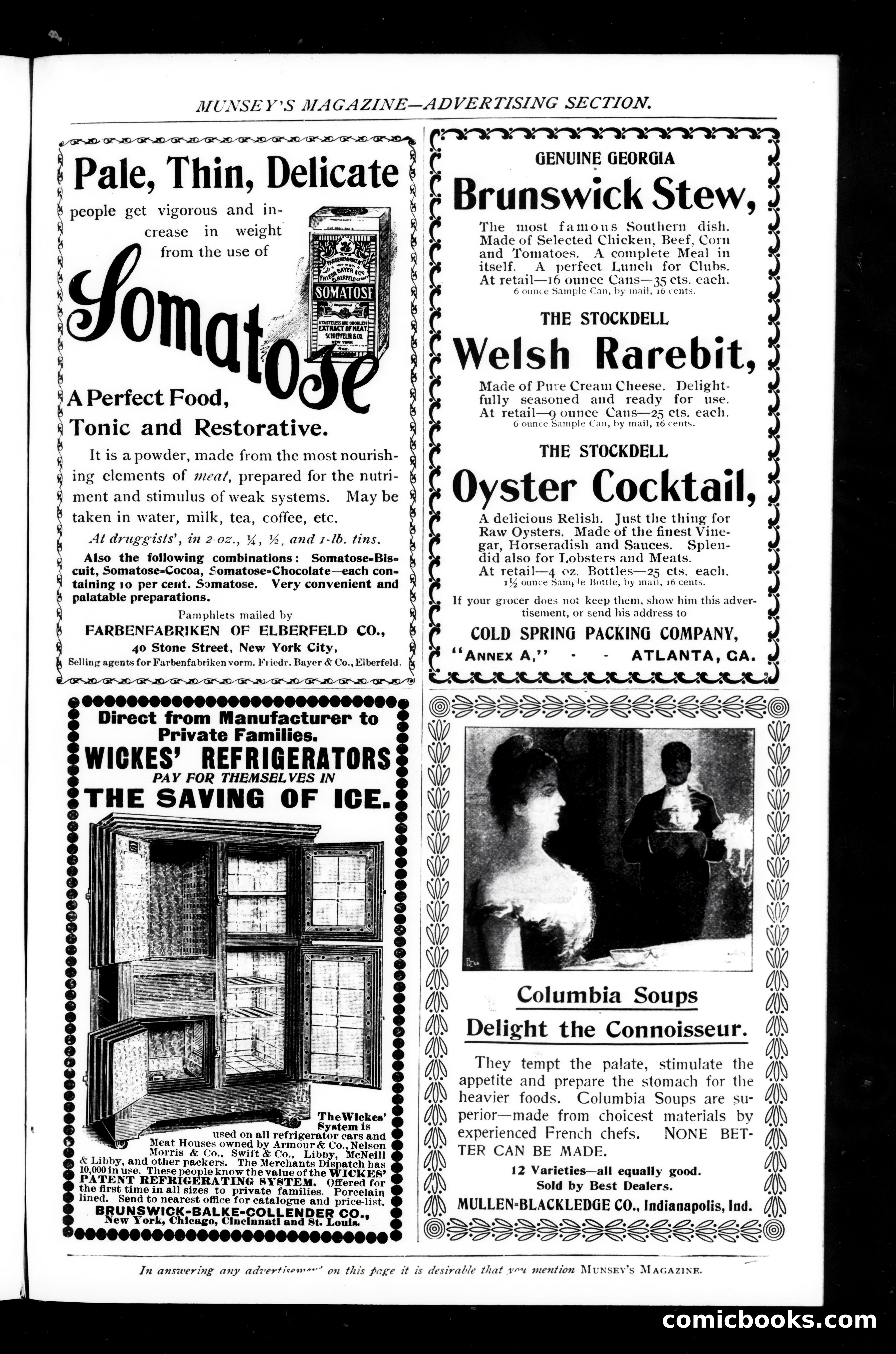 Munsey's Magazine, March 1899 — page 211 of 255