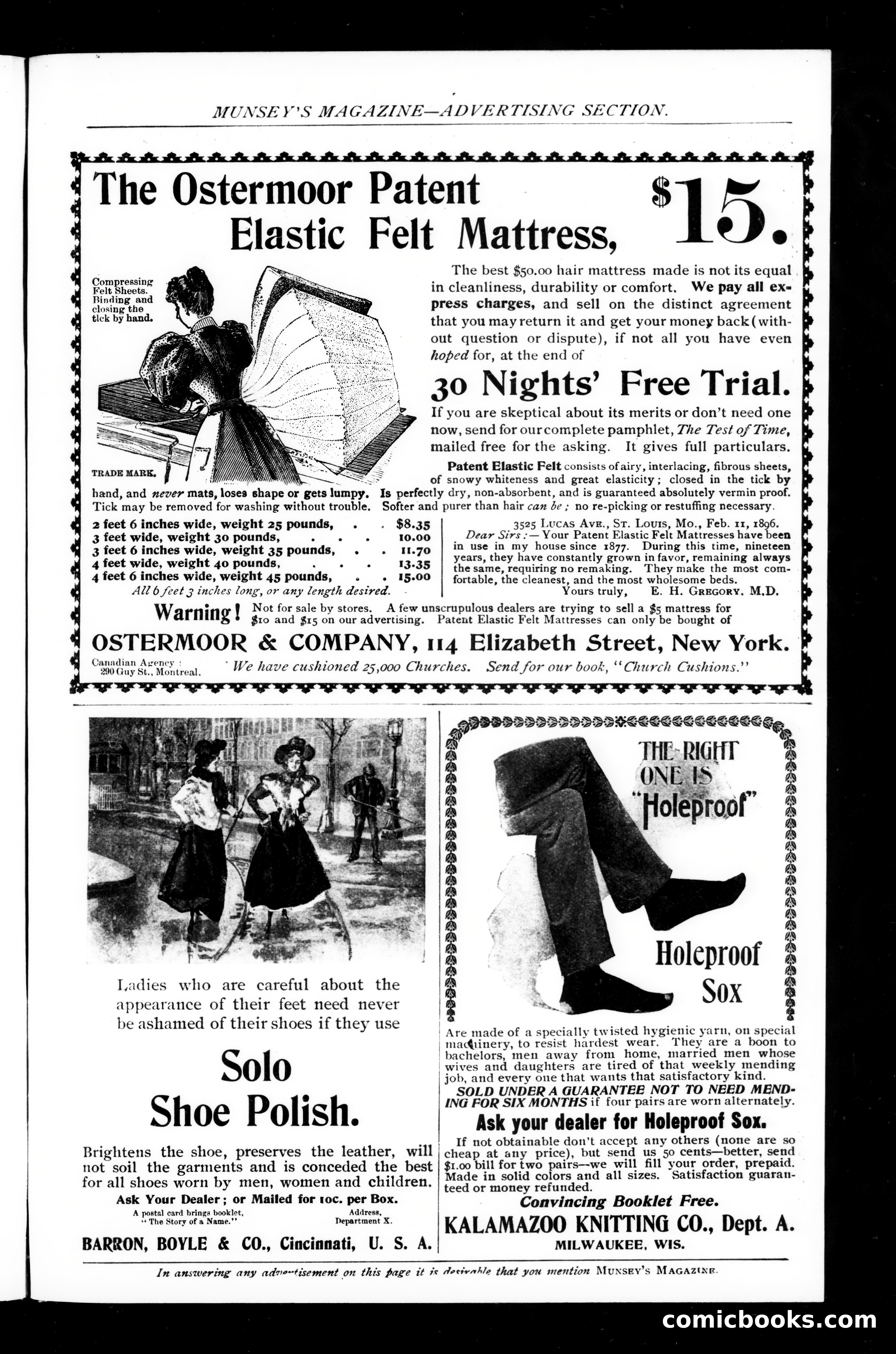 Munsey's Magazine, March 1899 — page 215 of 255