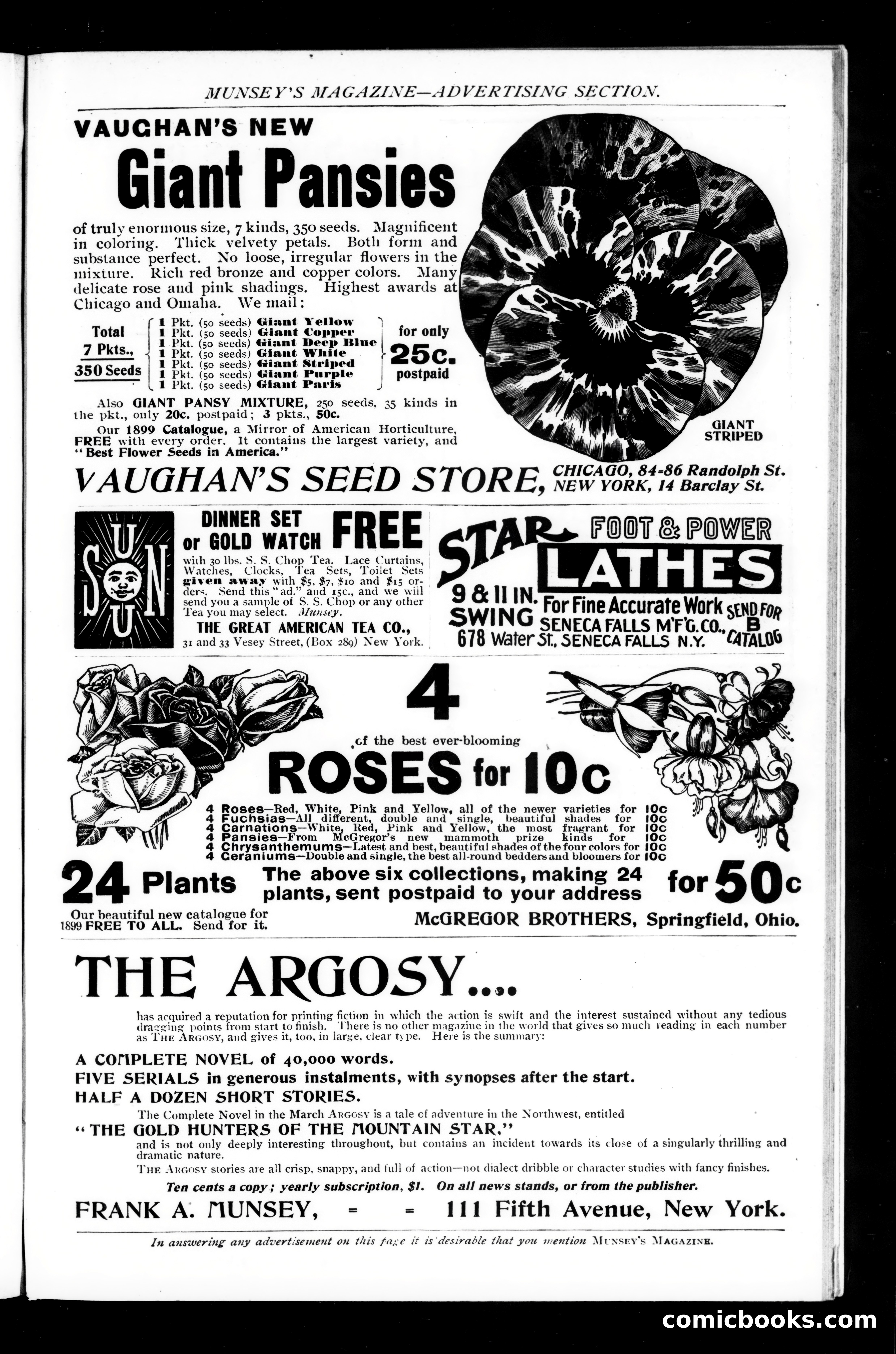 Munsey's Magazine, March 1899 — page 223 of 255