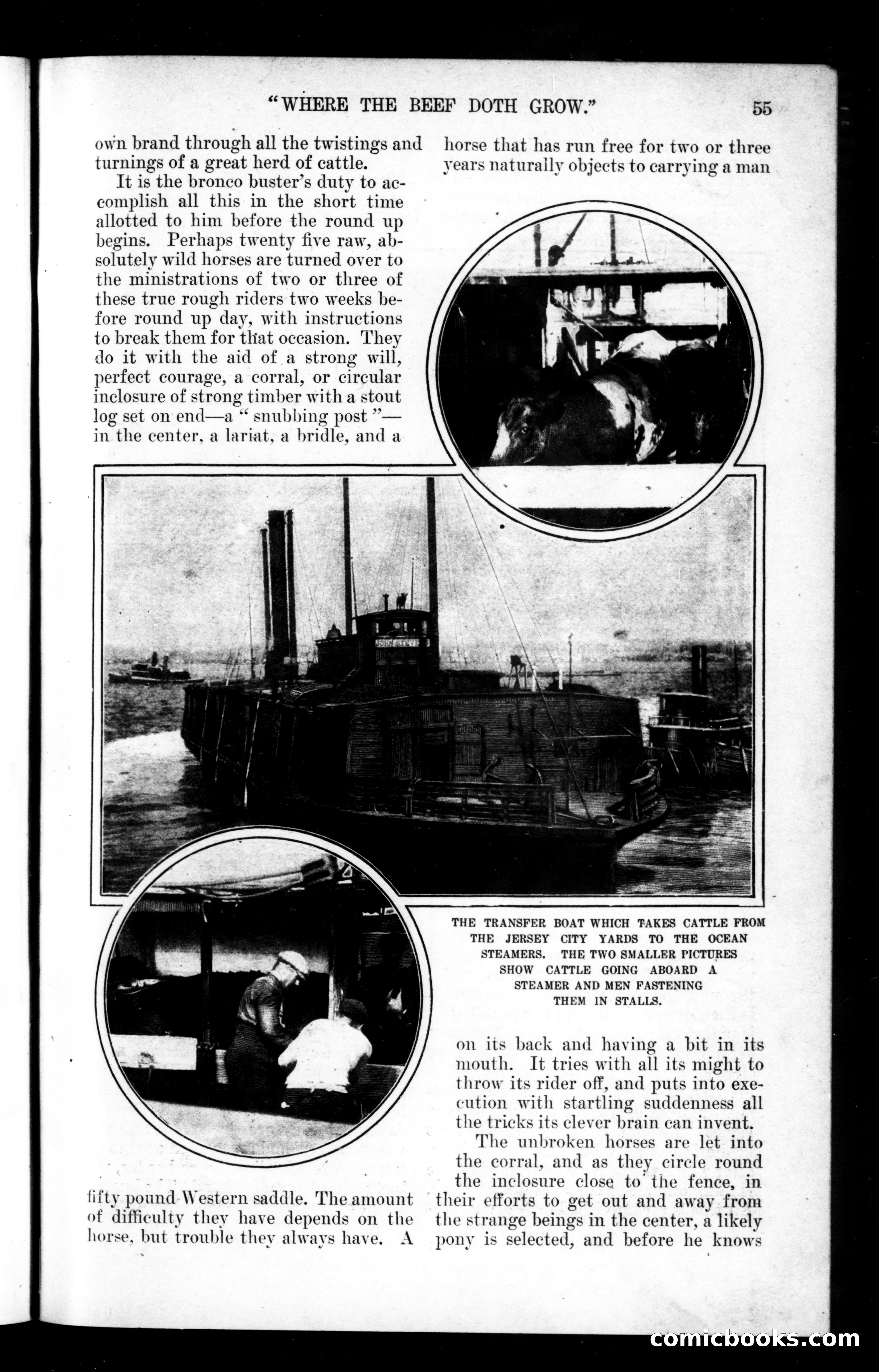Munsey's Magazine, April 1900 — page 53 of 142