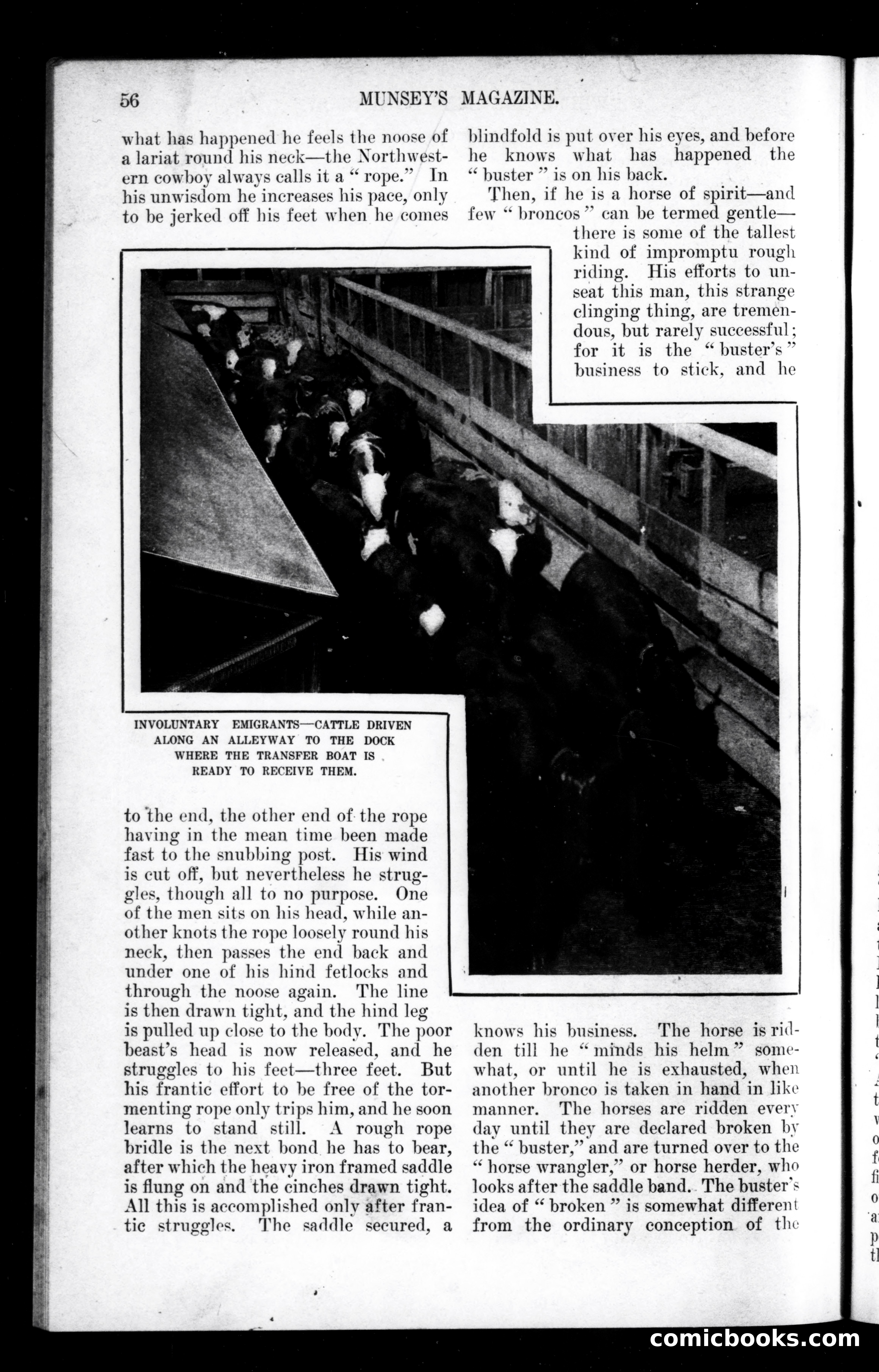 Munsey's Magazine, April 1900 — page 54 of 142