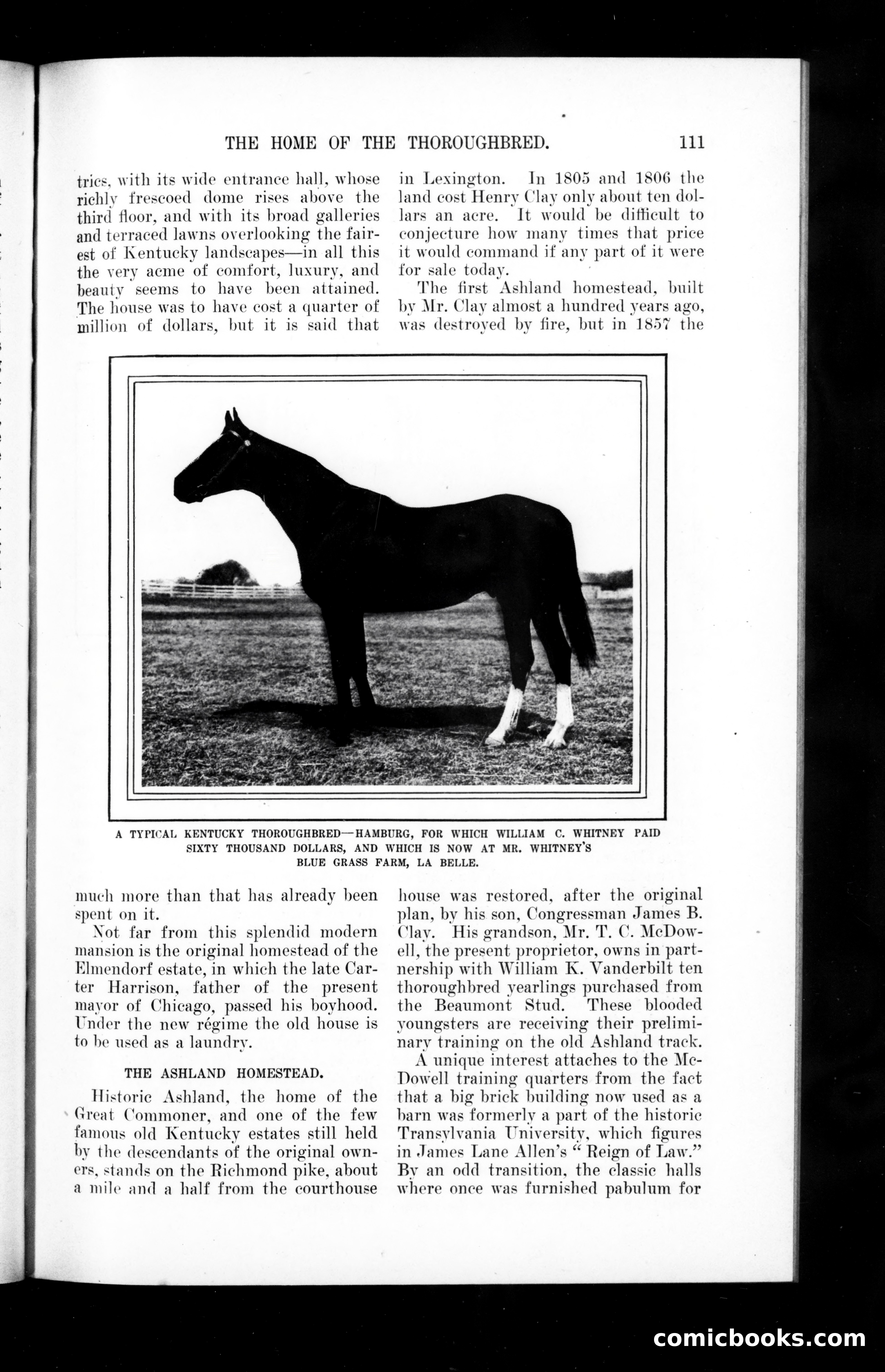 Munsey's Magazine, April 1902 — page 111 of 168