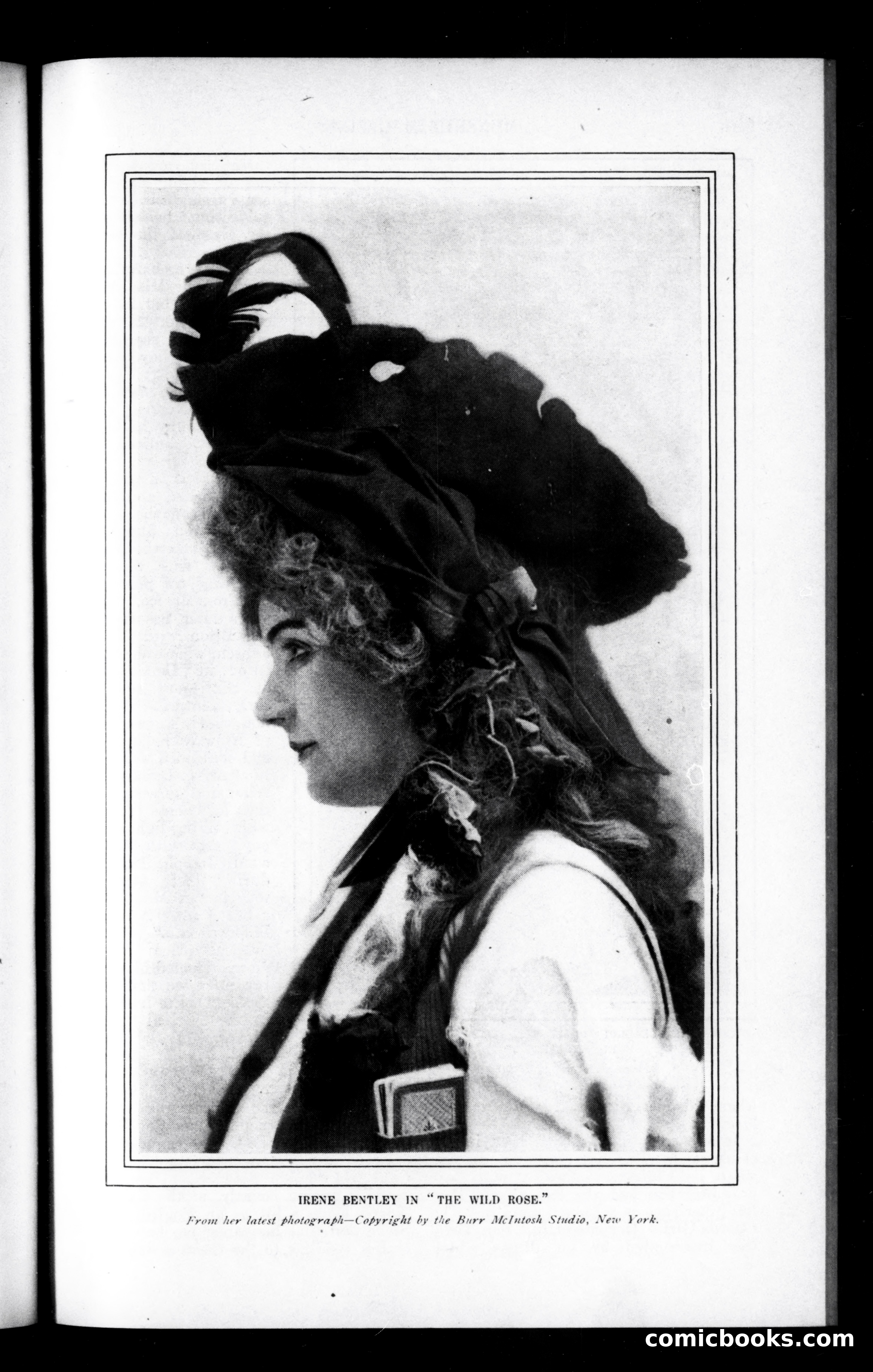 Munsey's Magazine, January 1903 — page 135 of 160