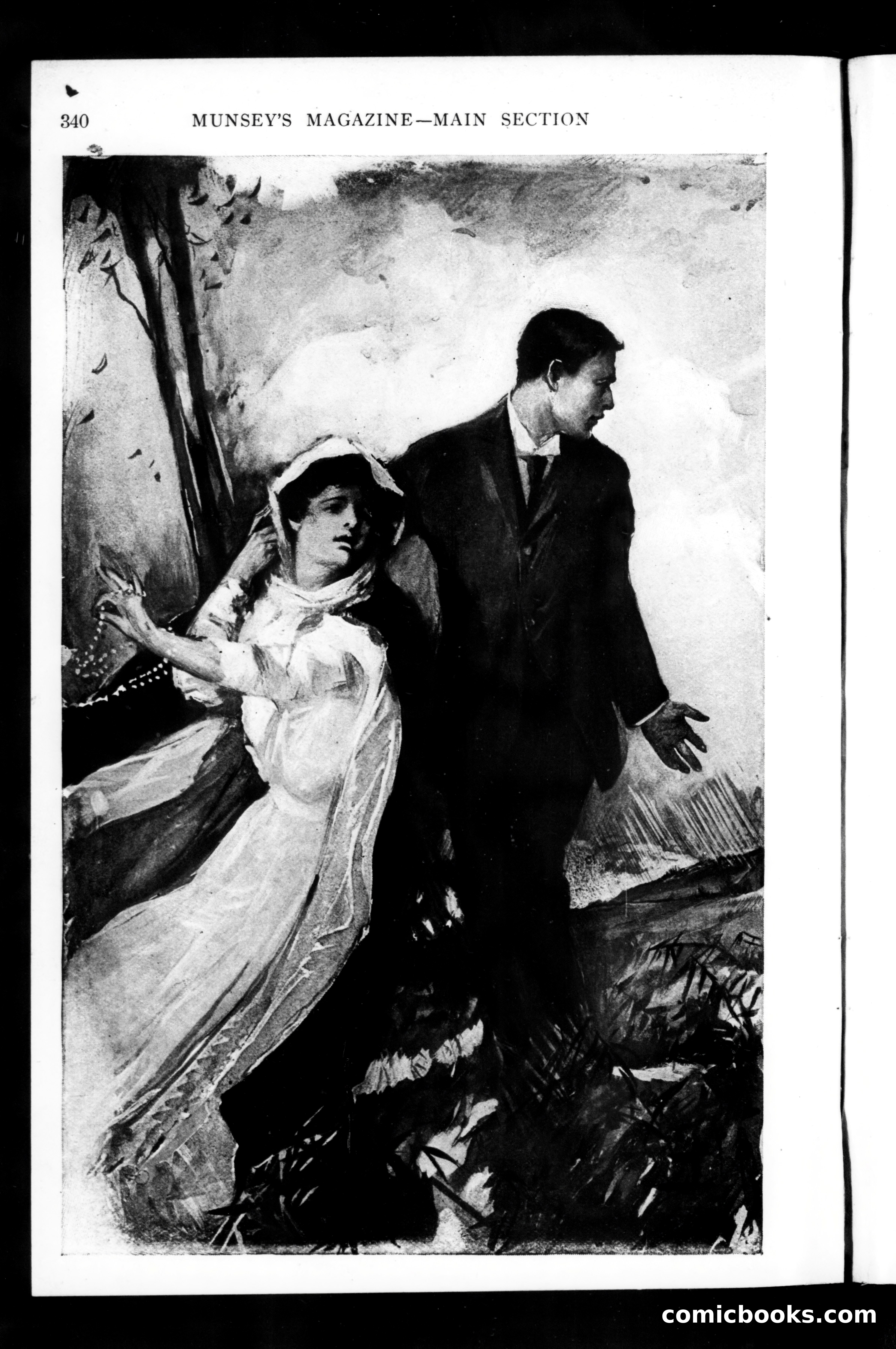 Munsey's Magazine, June 1906 — page 96 of 148