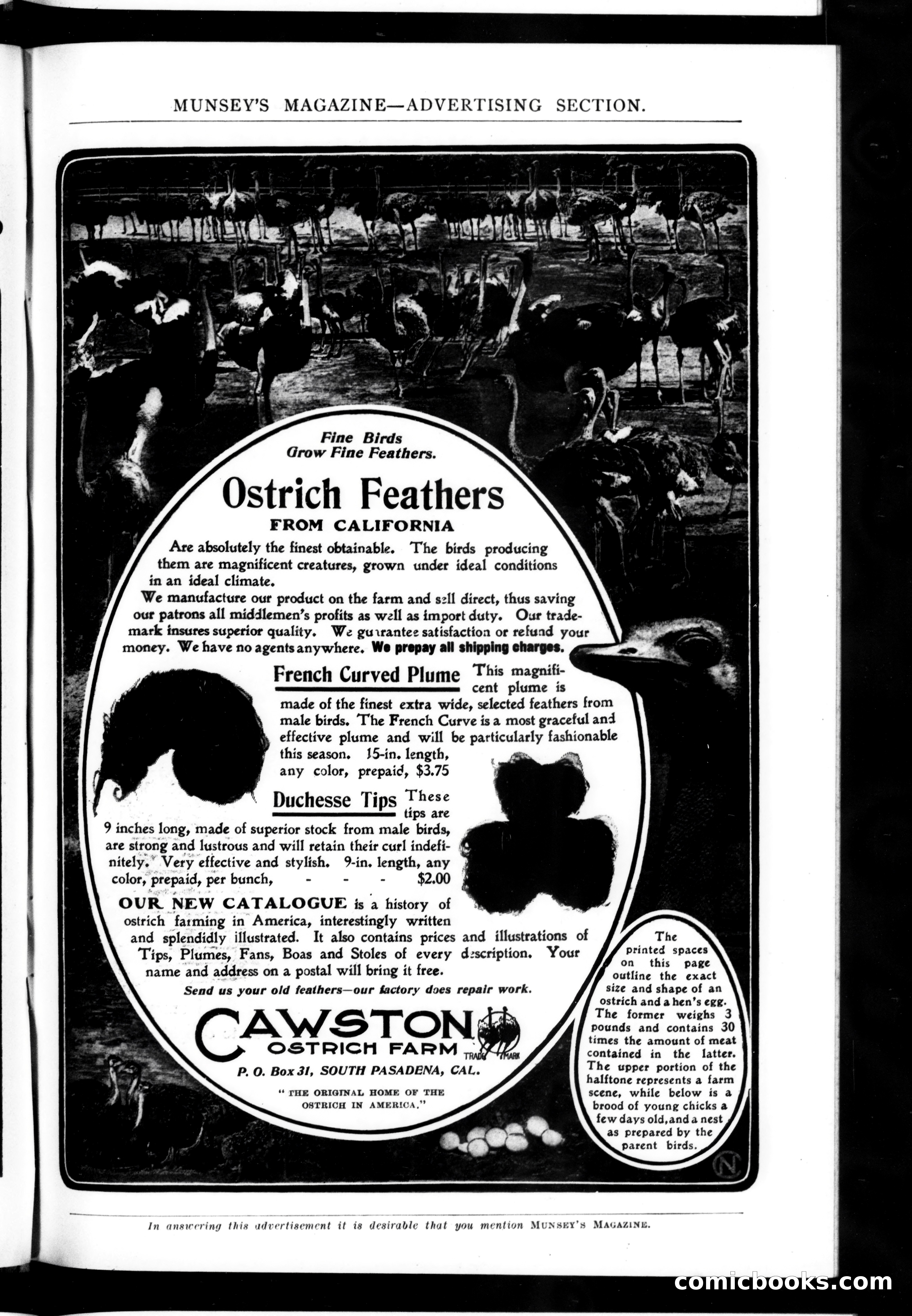 Munsey's Magazine, October 1906 — page 183 of 302