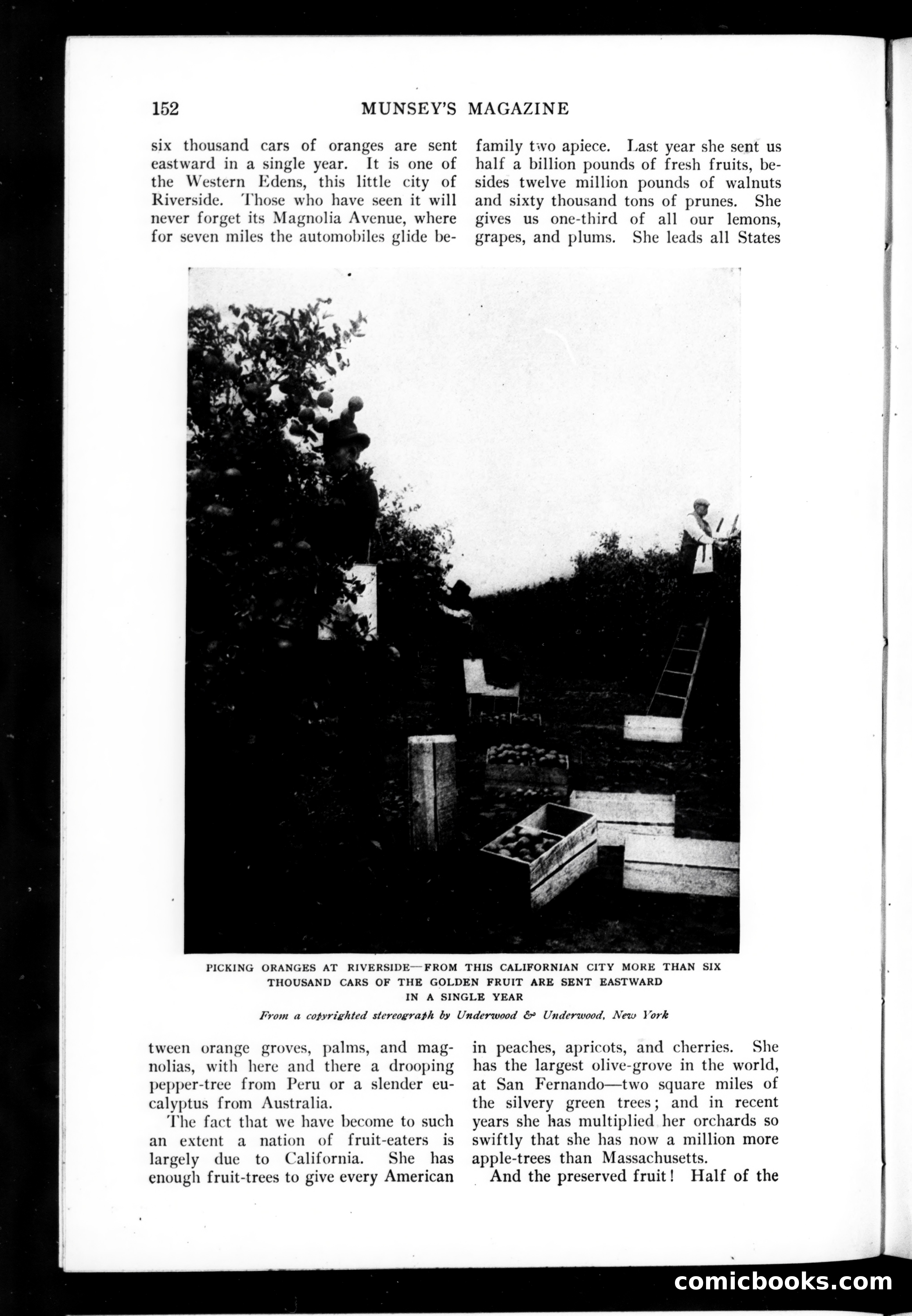 Munsey's Magazine, November 1906 — page 18 of 130