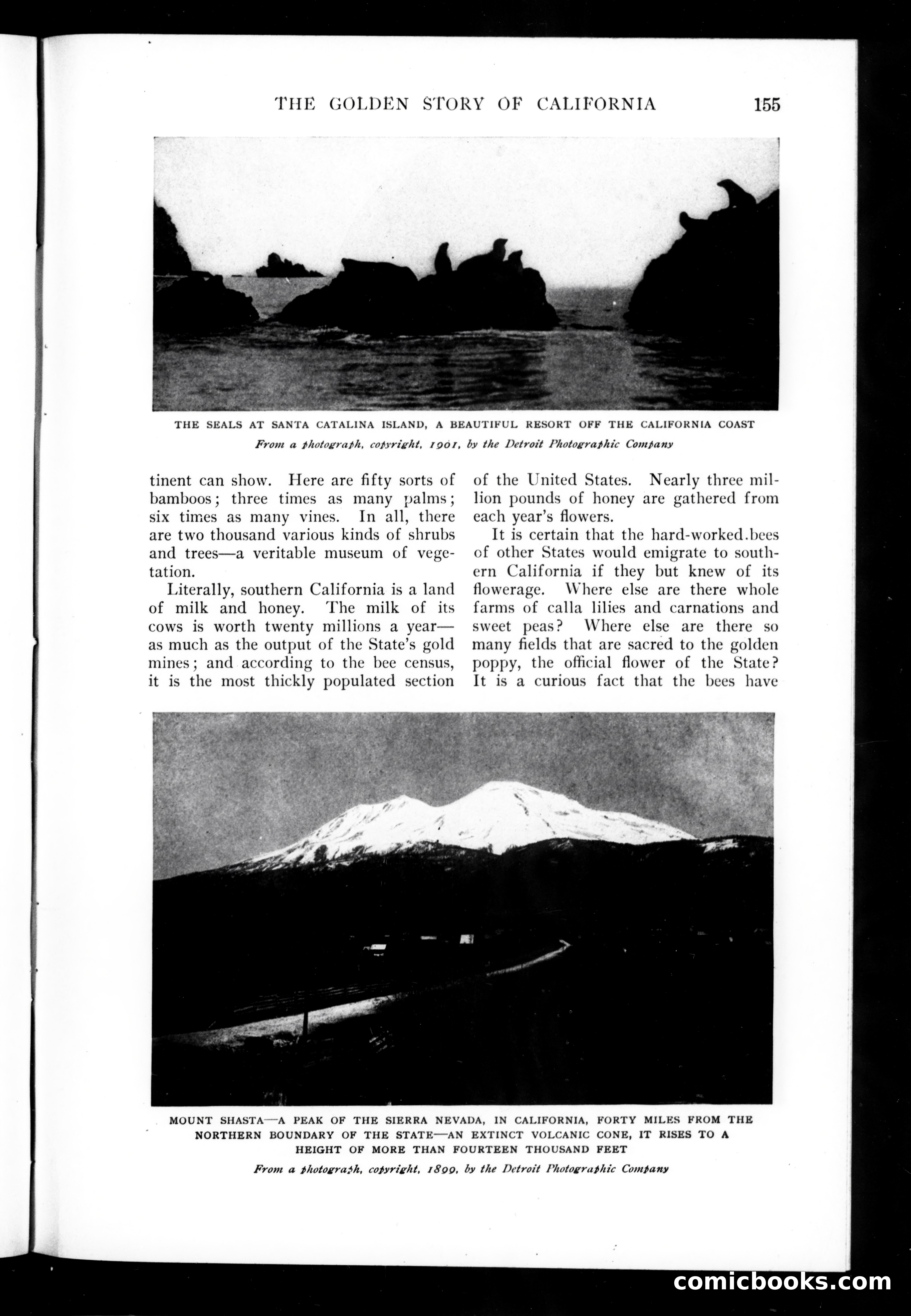 Munsey's Magazine, November 1906 — page 21 of 130