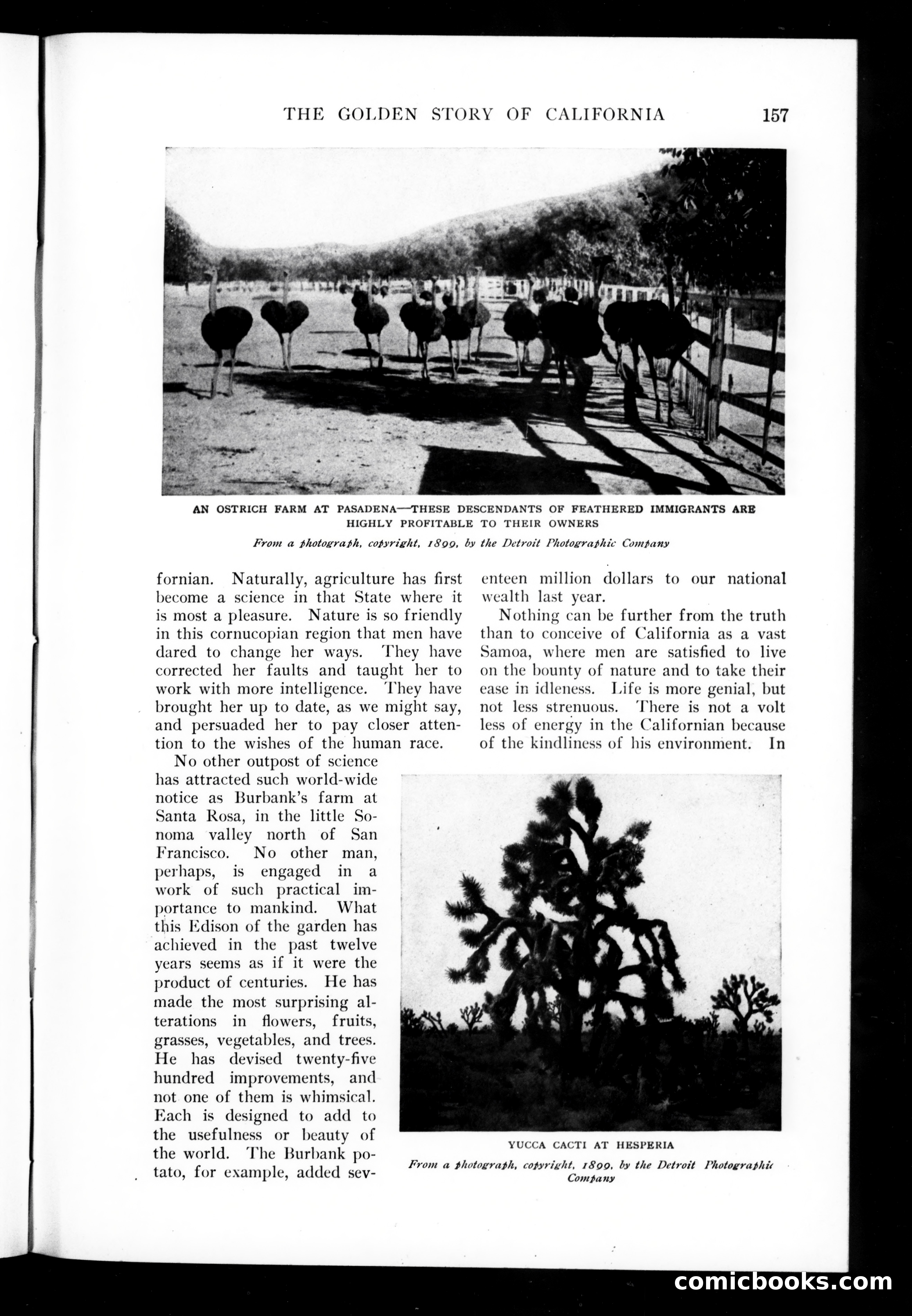 Munsey's Magazine, November 1906 — page 23 of 130