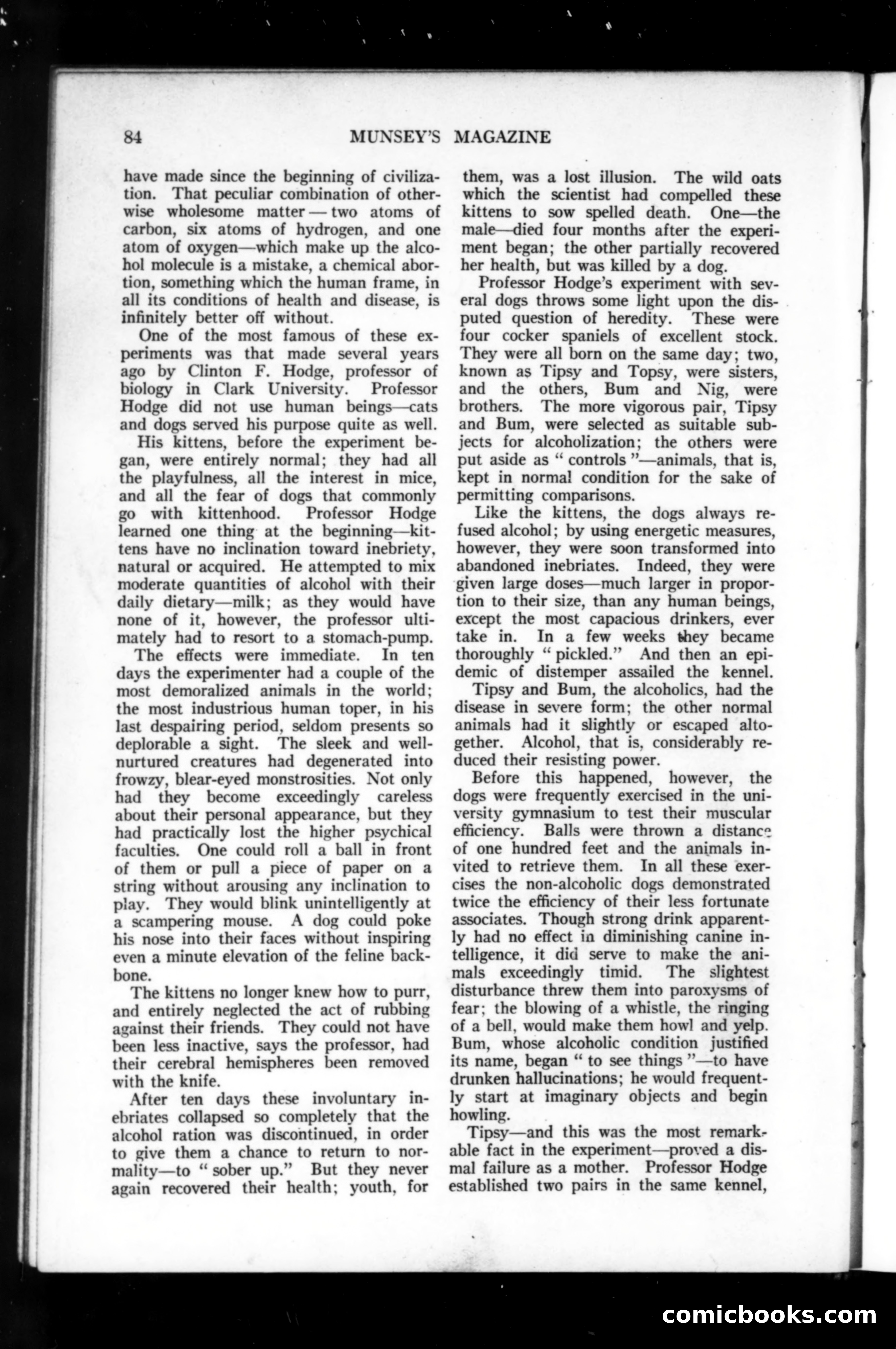 Munsey's Magazine, June 1914 — page 84 of 232