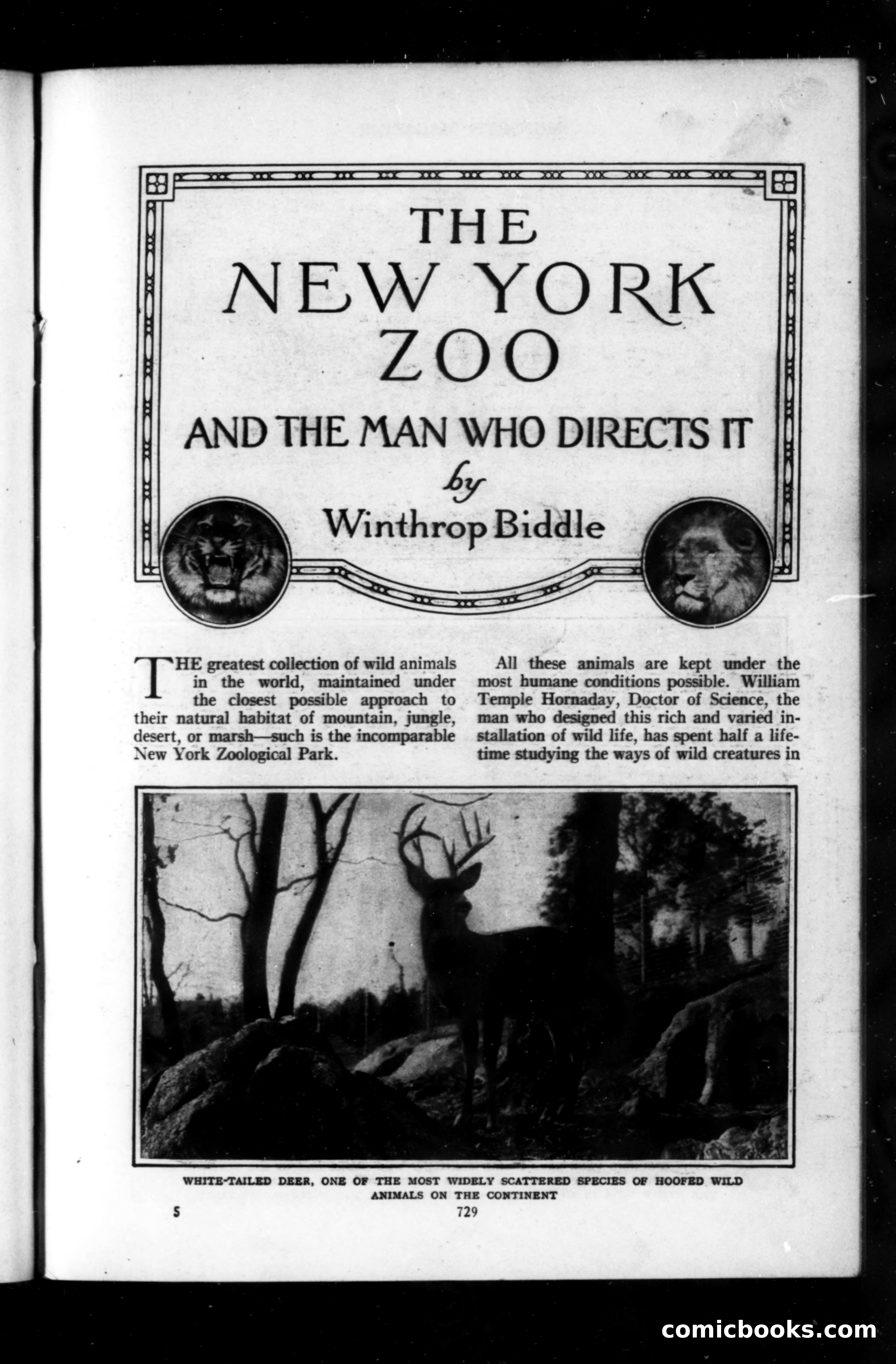 Munsey's Magazine, September 1914 — page 41 of 225