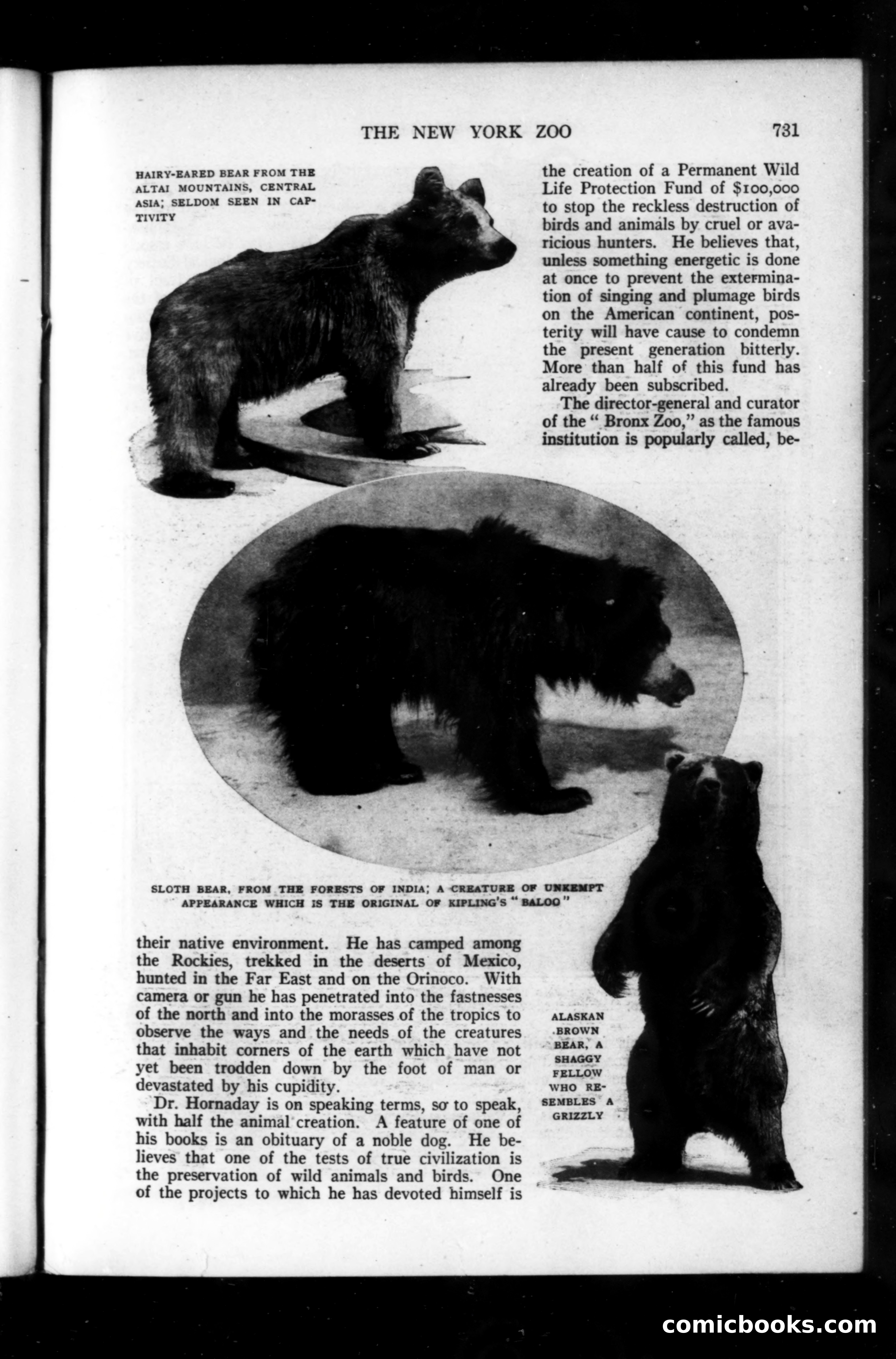 Munsey's Magazine, September 1914 — page 43 of 225