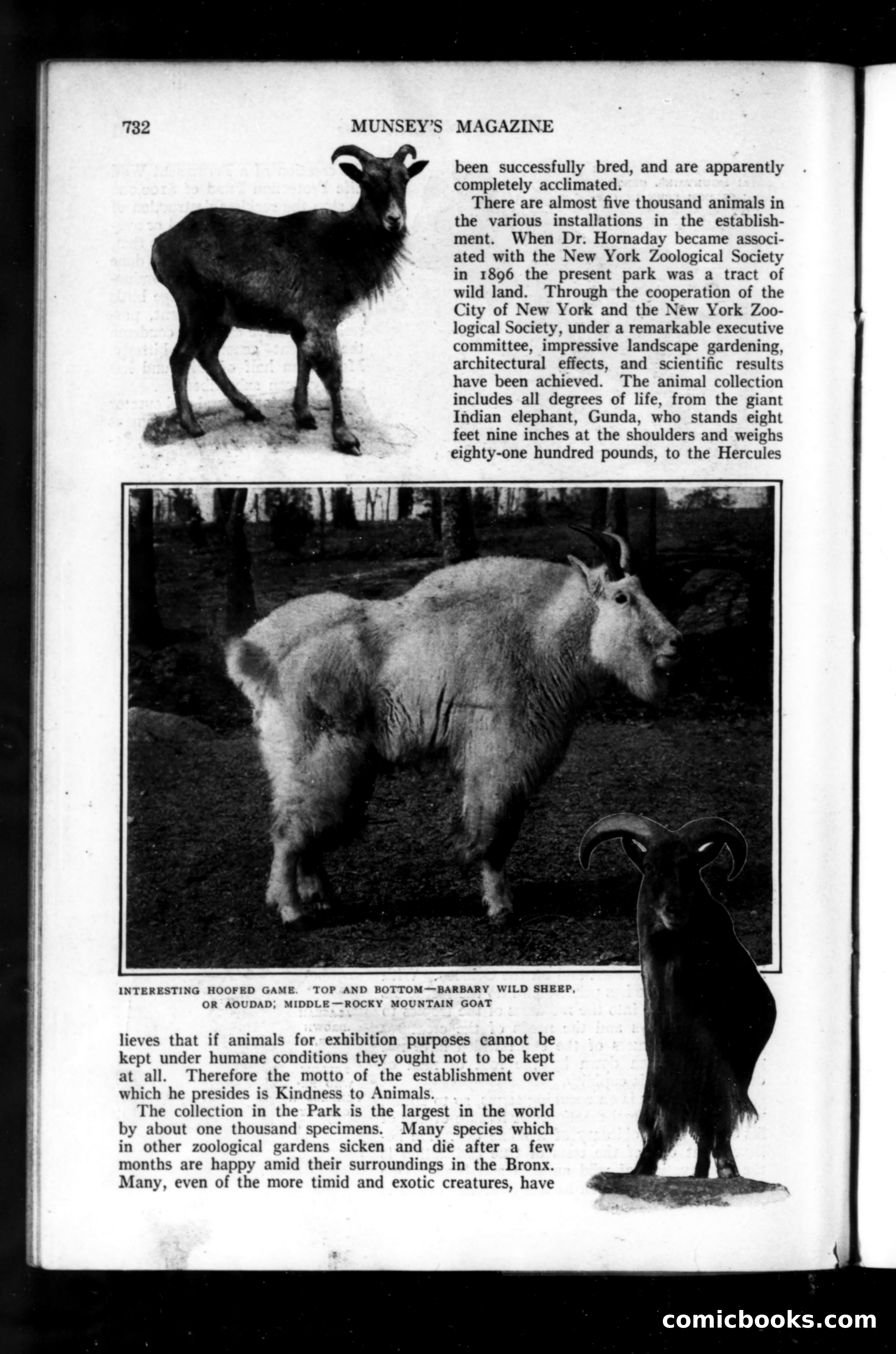Munsey's Magazine, September 1914 — page 44 of 225