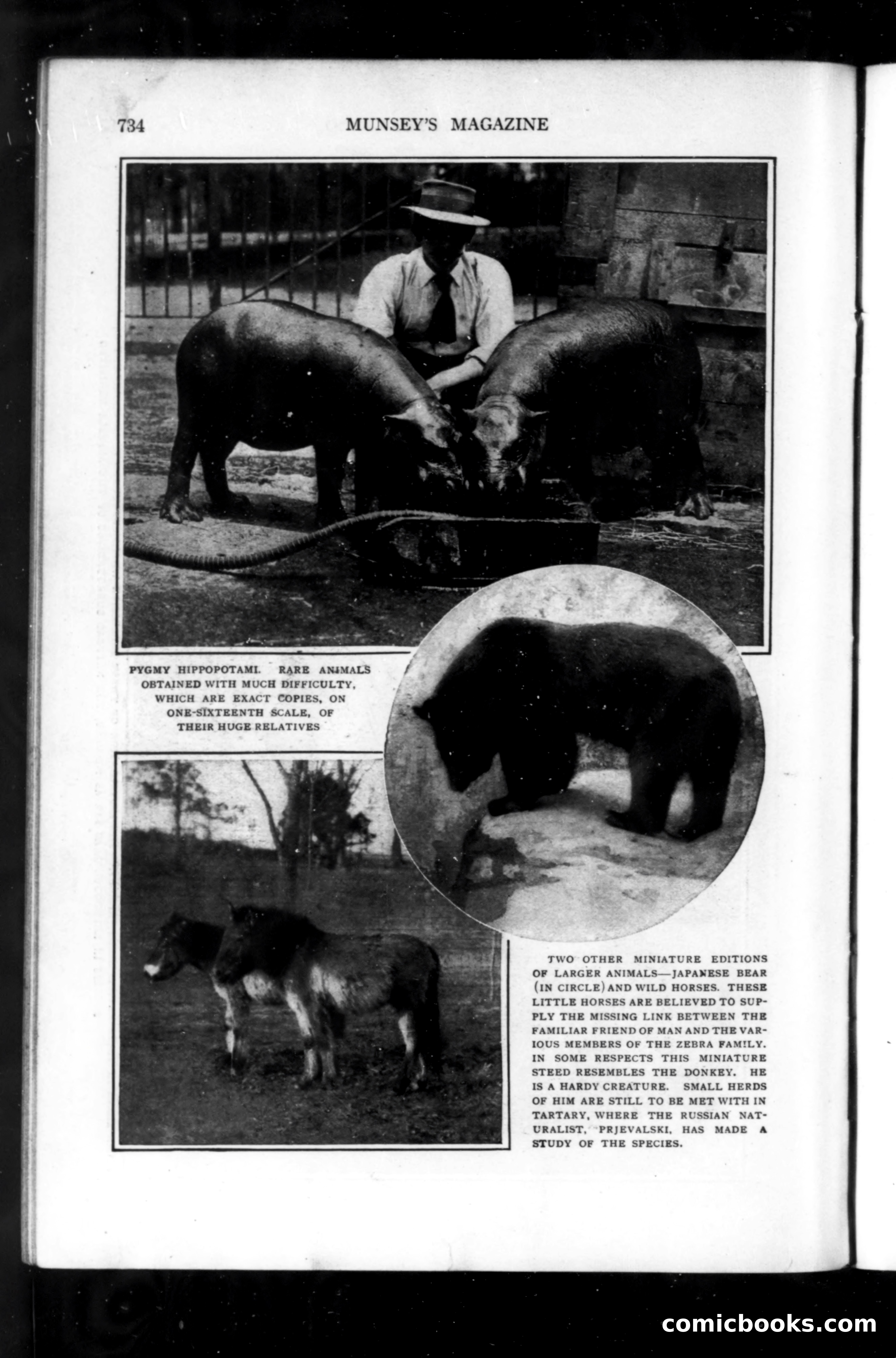 Munsey's Magazine, September 1914 — page 46 of 225