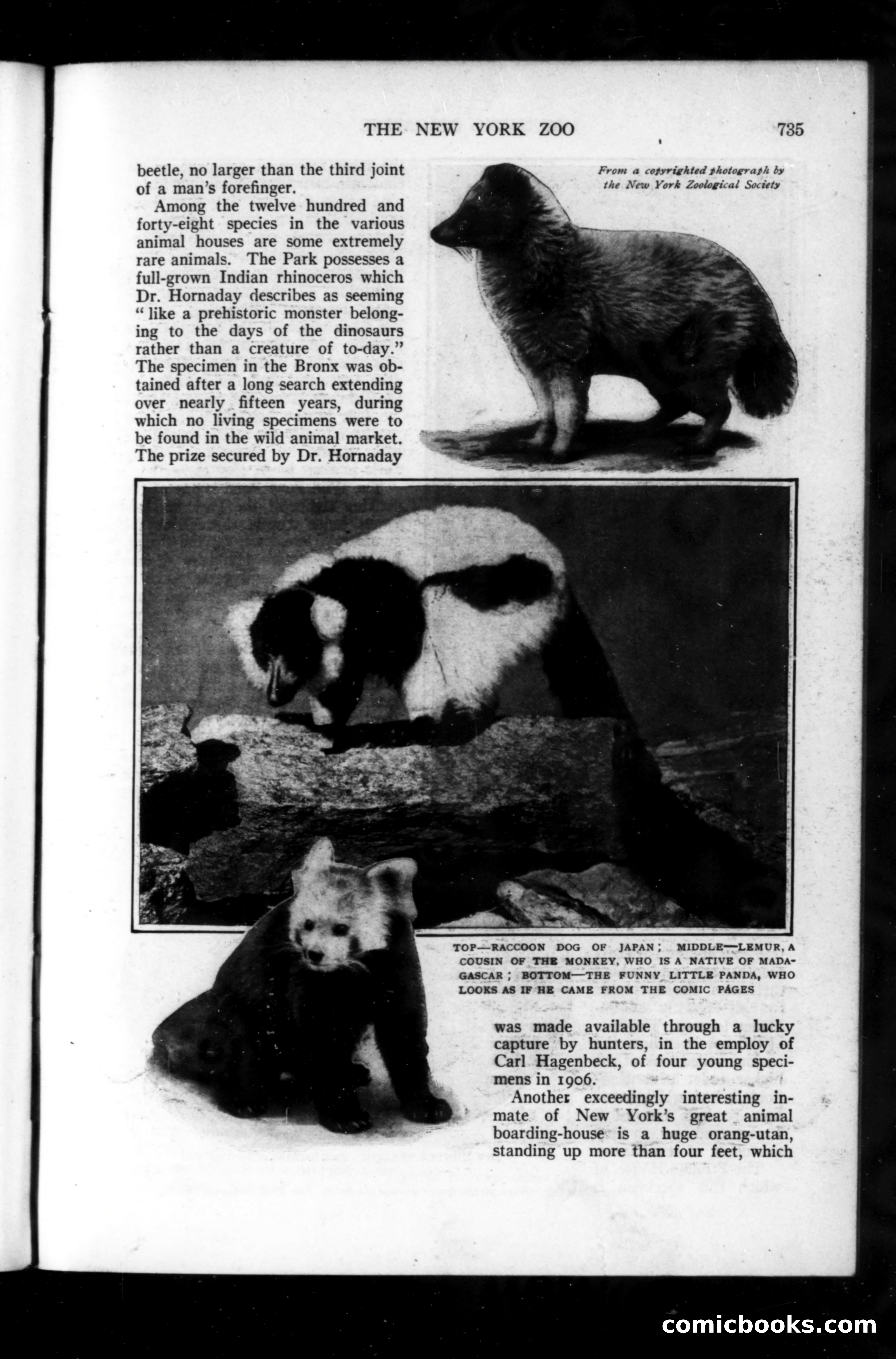 Munsey's Magazine, September 1914 — page 47 of 225