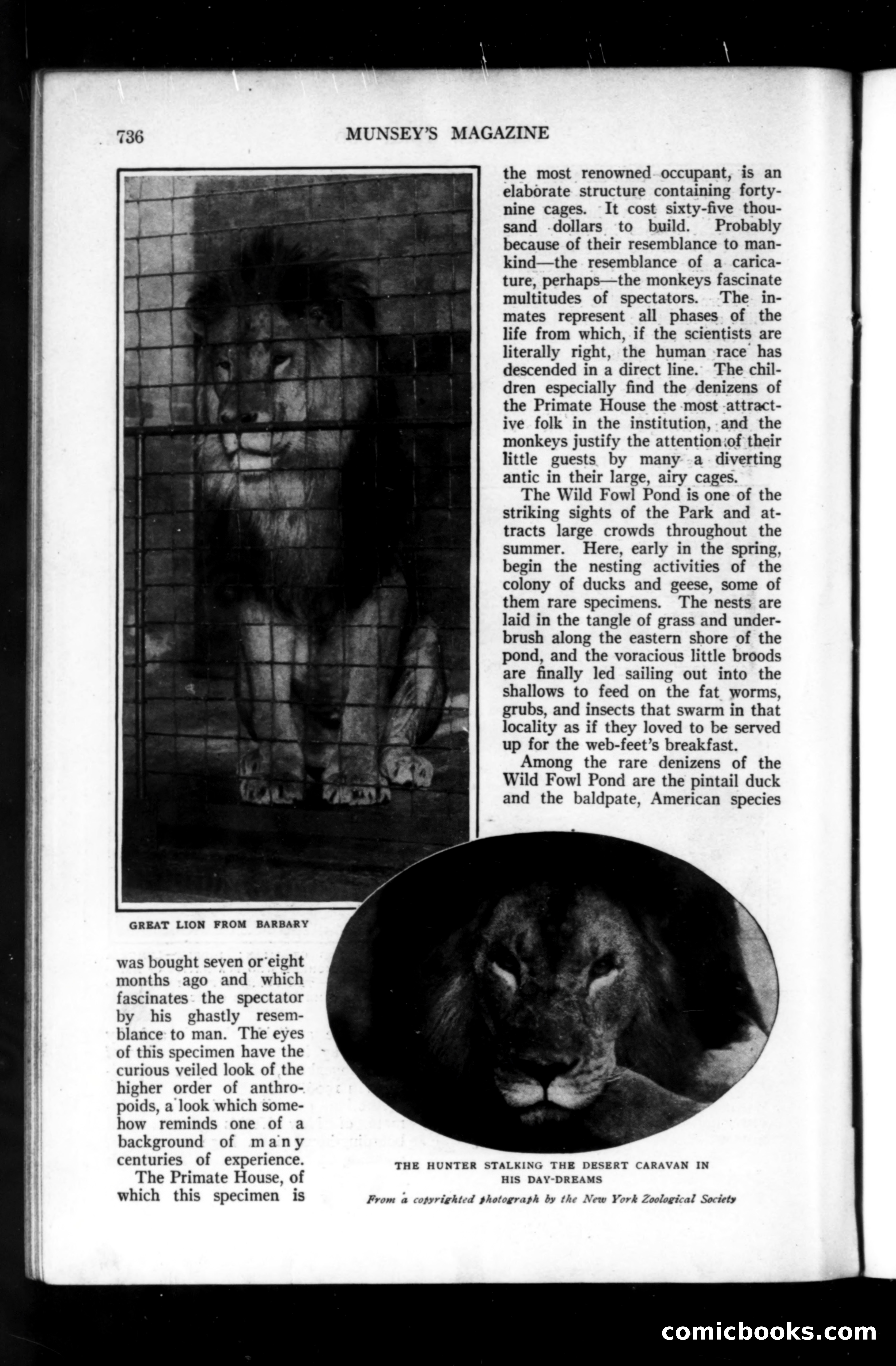 Munsey's Magazine, September 1914 — page 48 of 225