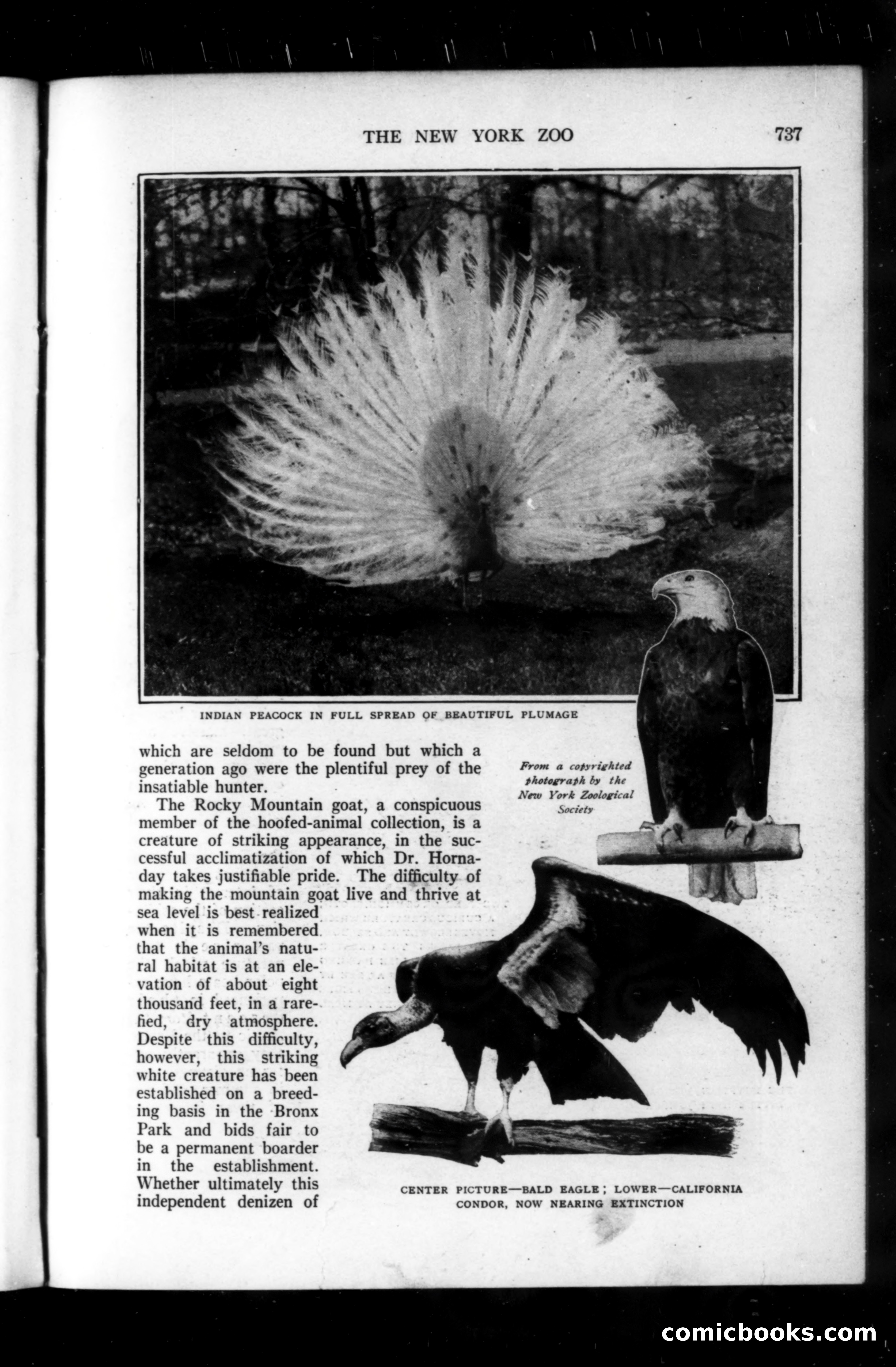 Munsey's Magazine, September 1914 — page 49 of 225