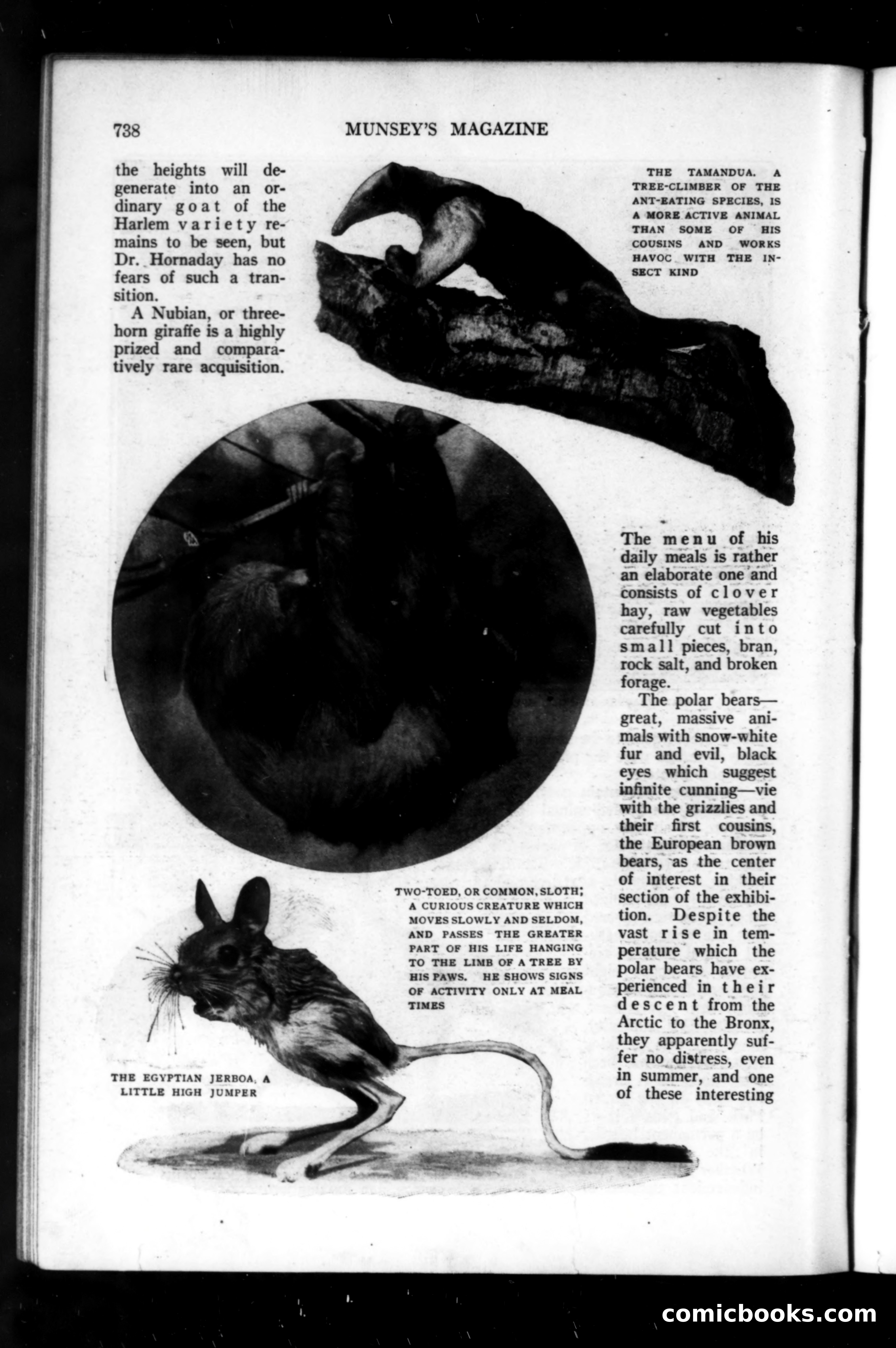 Munsey's Magazine, September 1914 — page 50 of 225