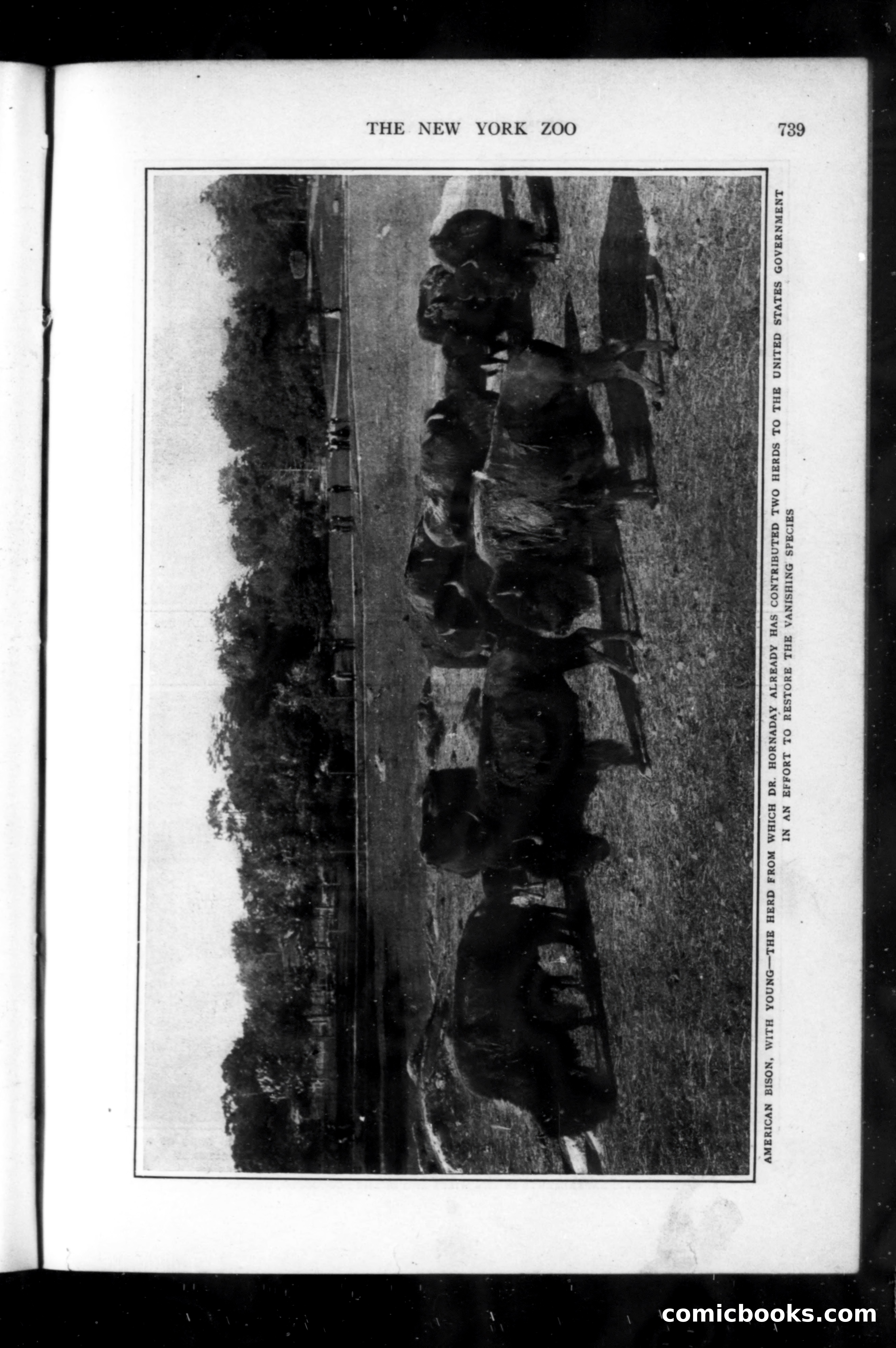 Munsey's Magazine, September 1914 — page 51 of 225