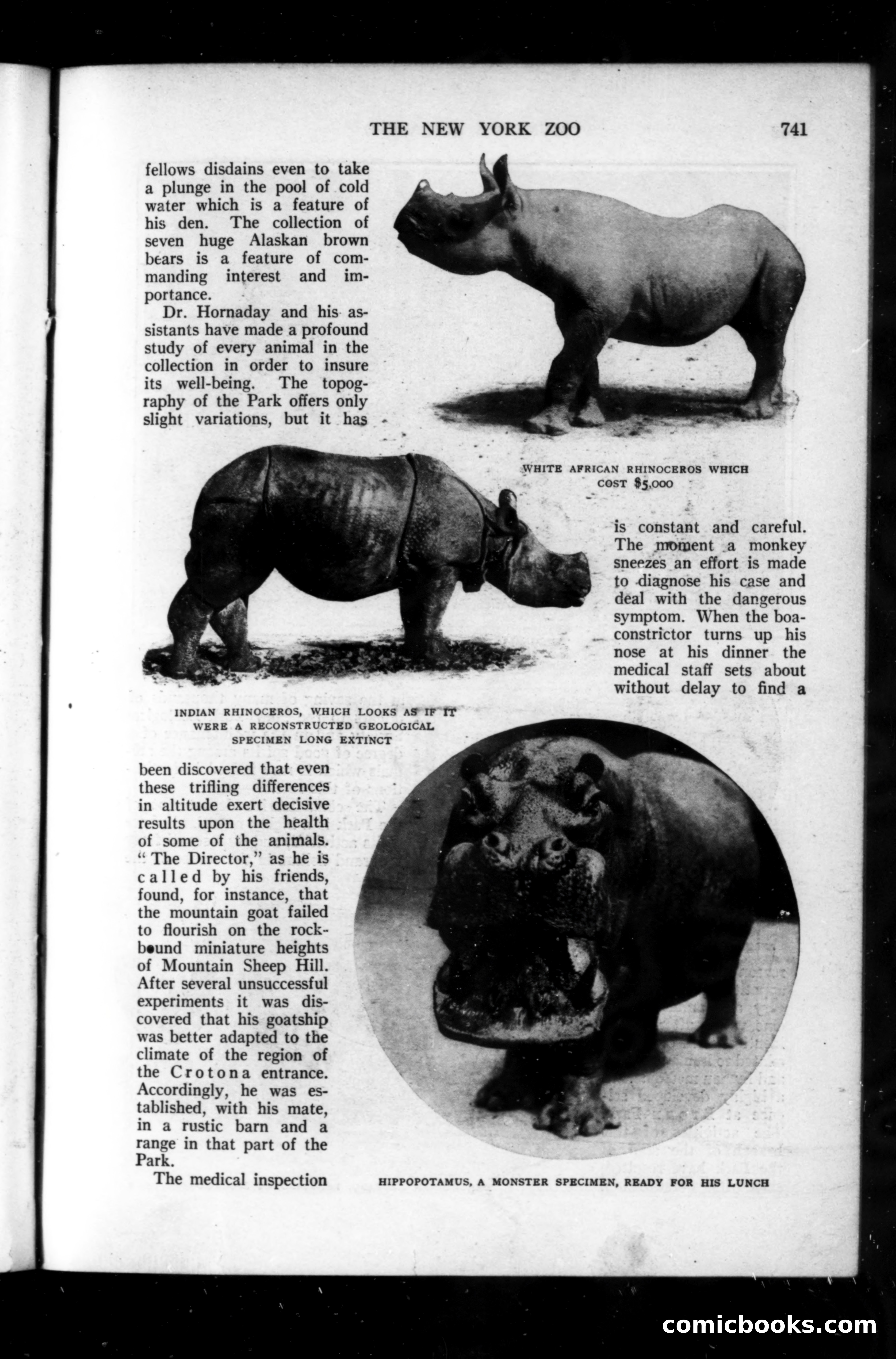 Munsey's Magazine, September 1914 — page 53 of 225