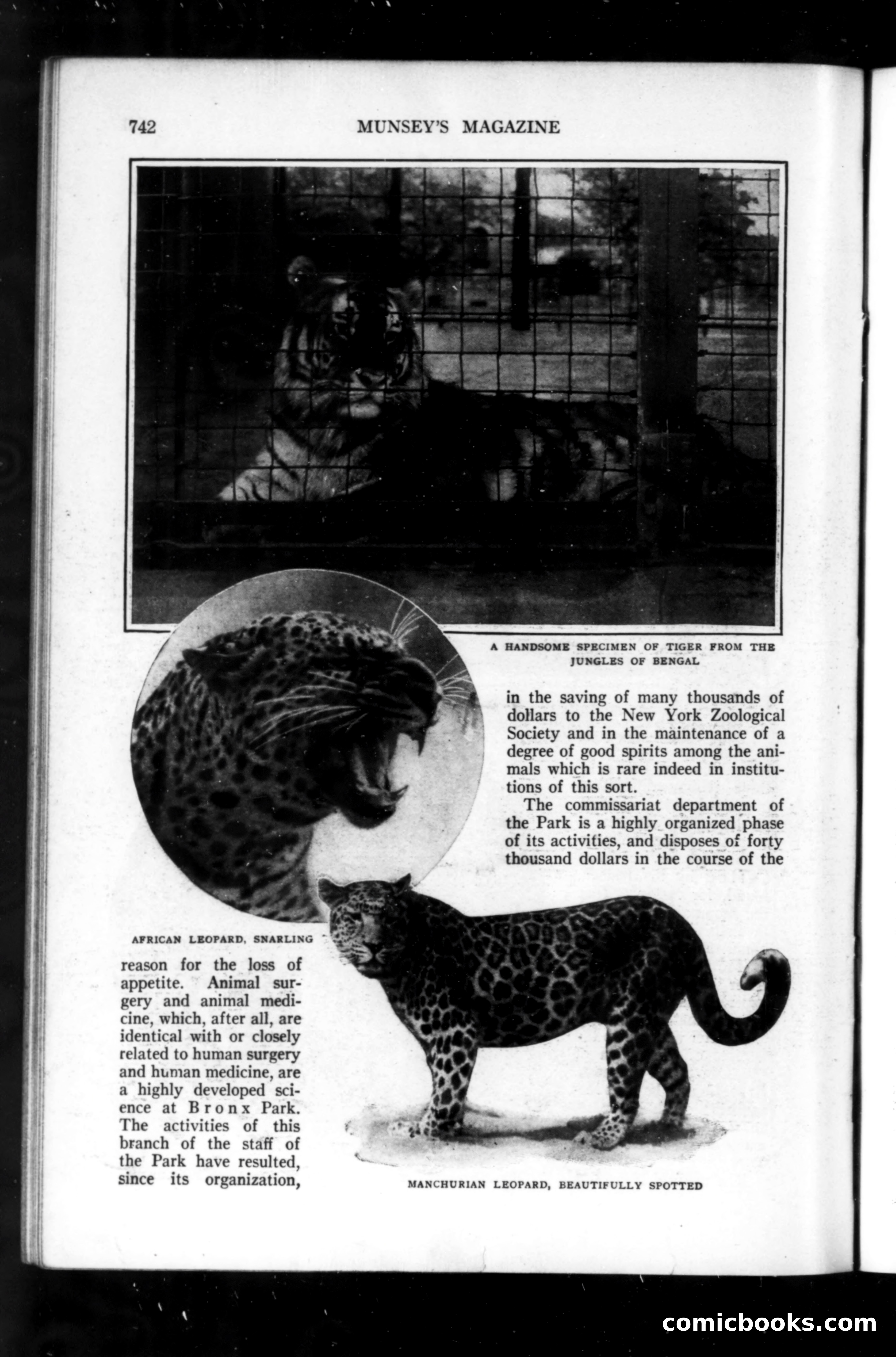 Munsey's Magazine, September 1914 — page 54 of 225