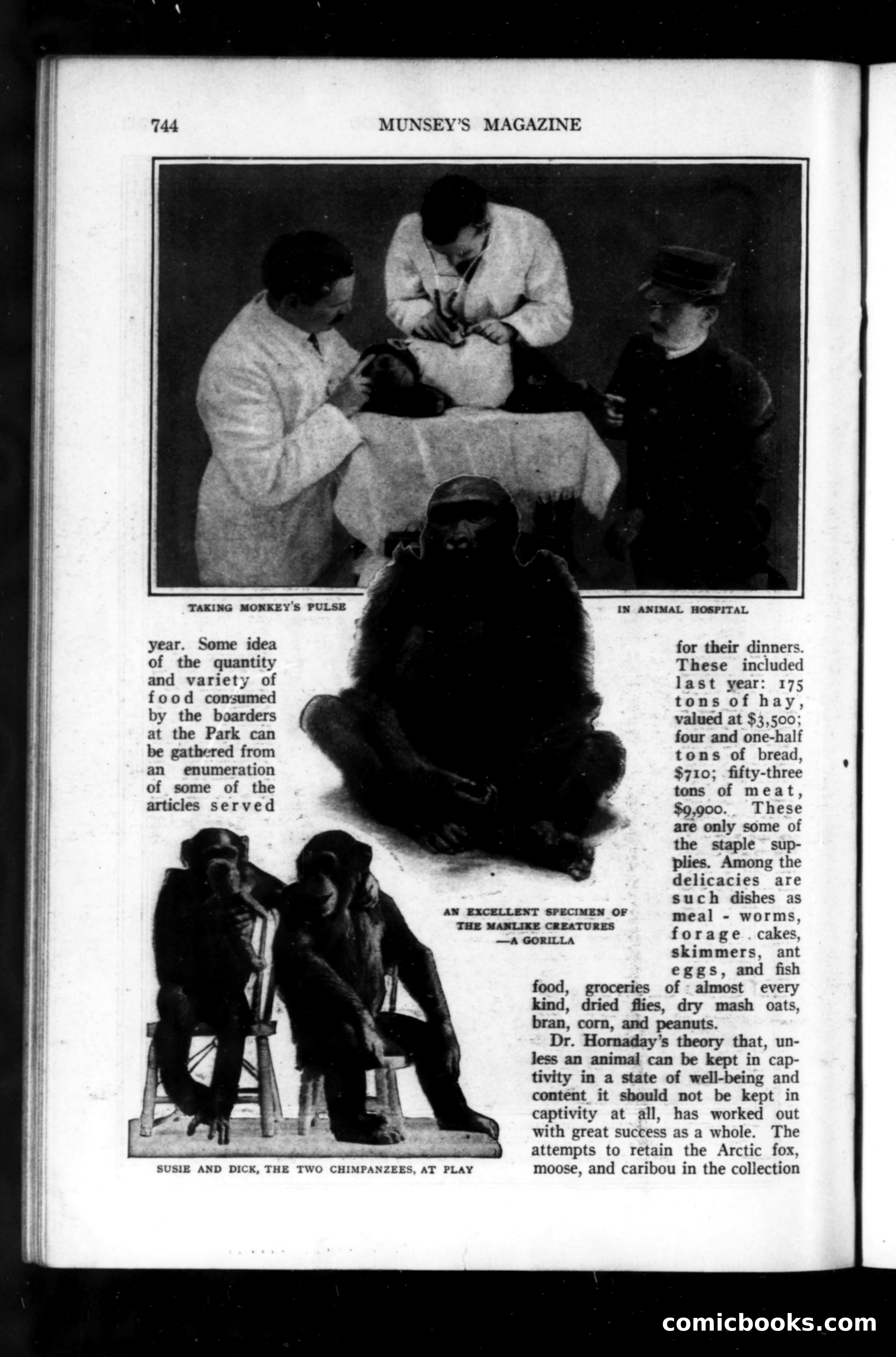 Munsey's Magazine, September 1914 — page 56 of 225