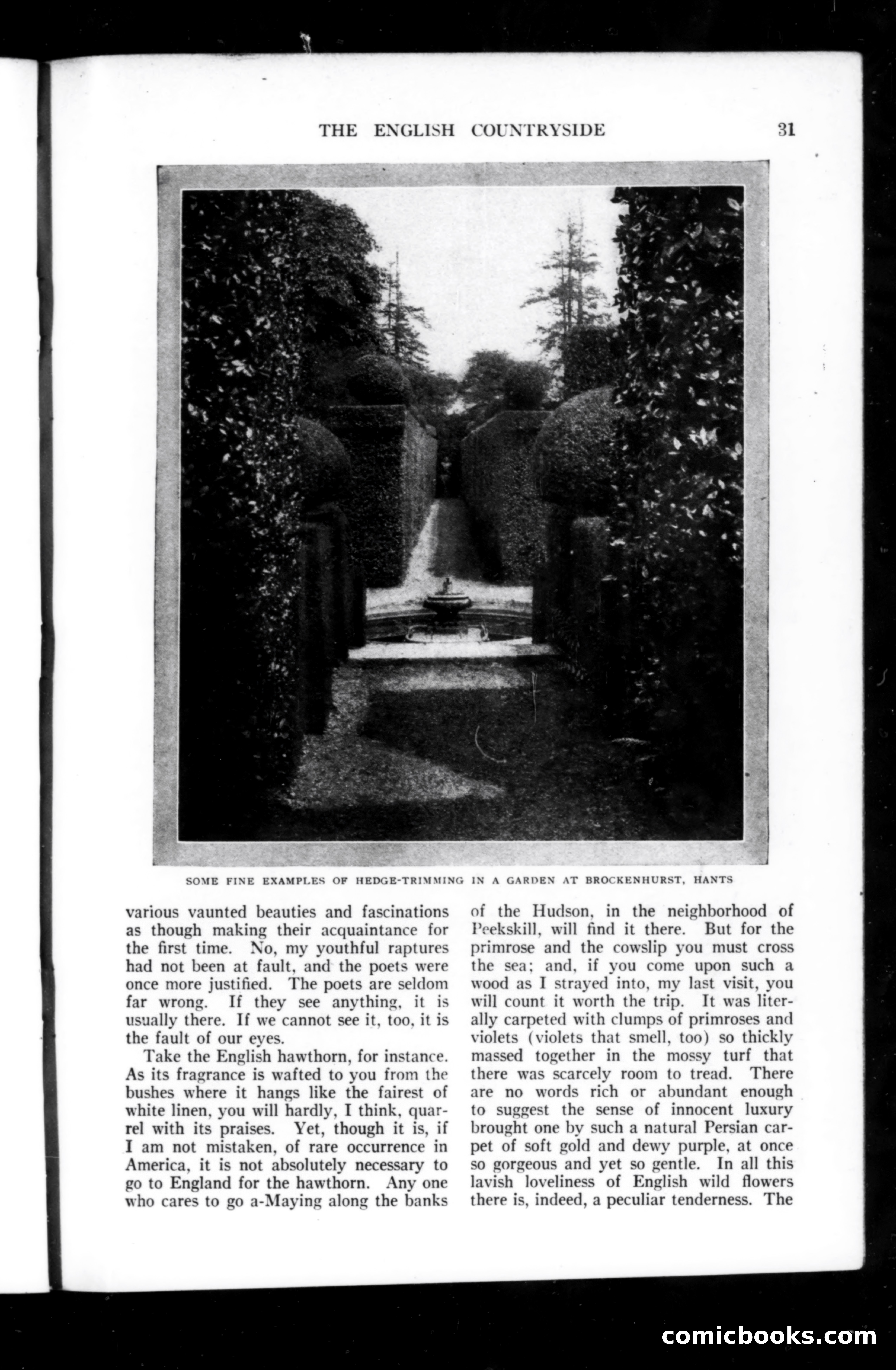 Munsey's Magazine, October 1914 — page 31 of 232