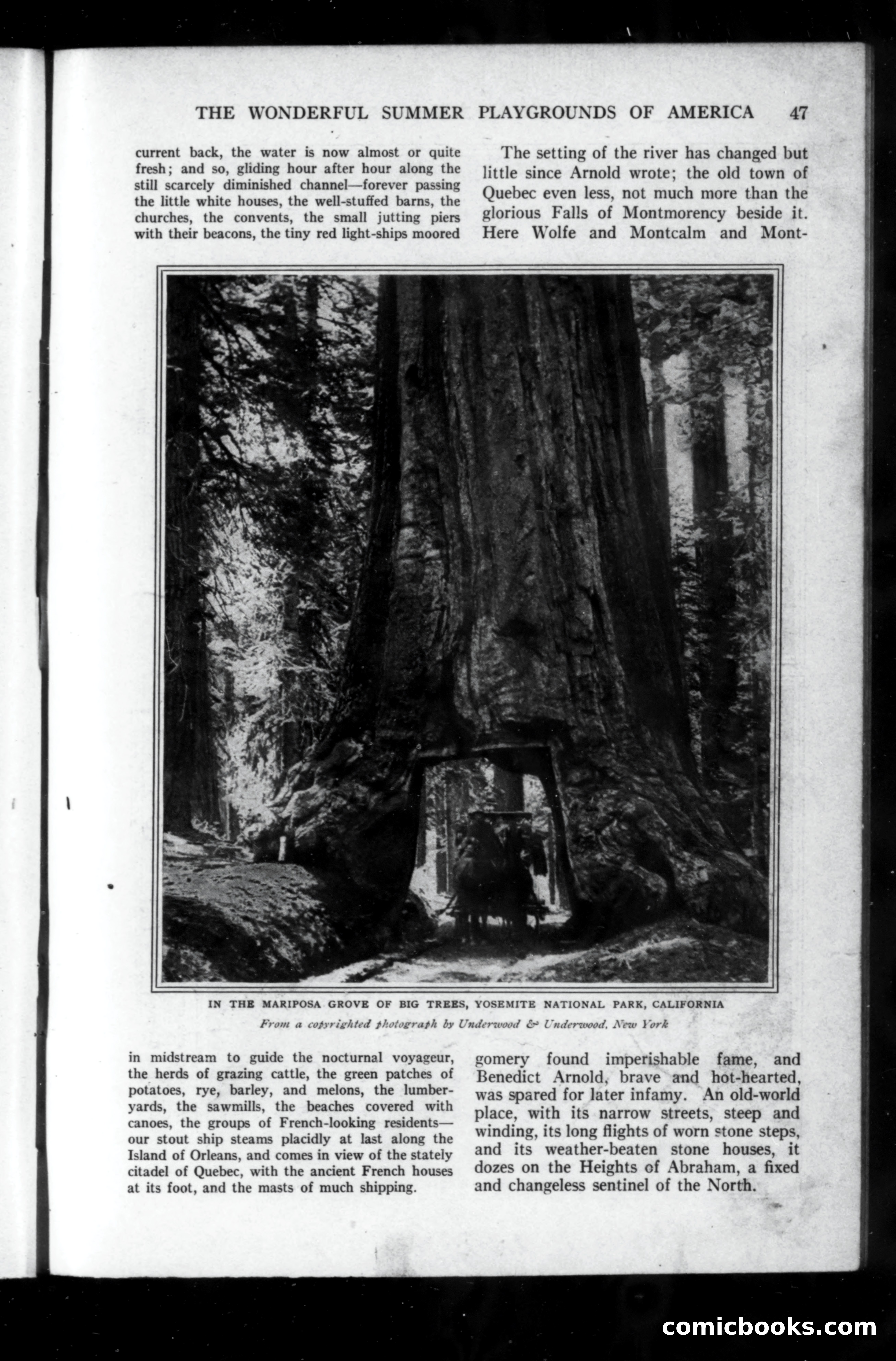 Munsey's Magazine, June 1915 — page 47 of 208