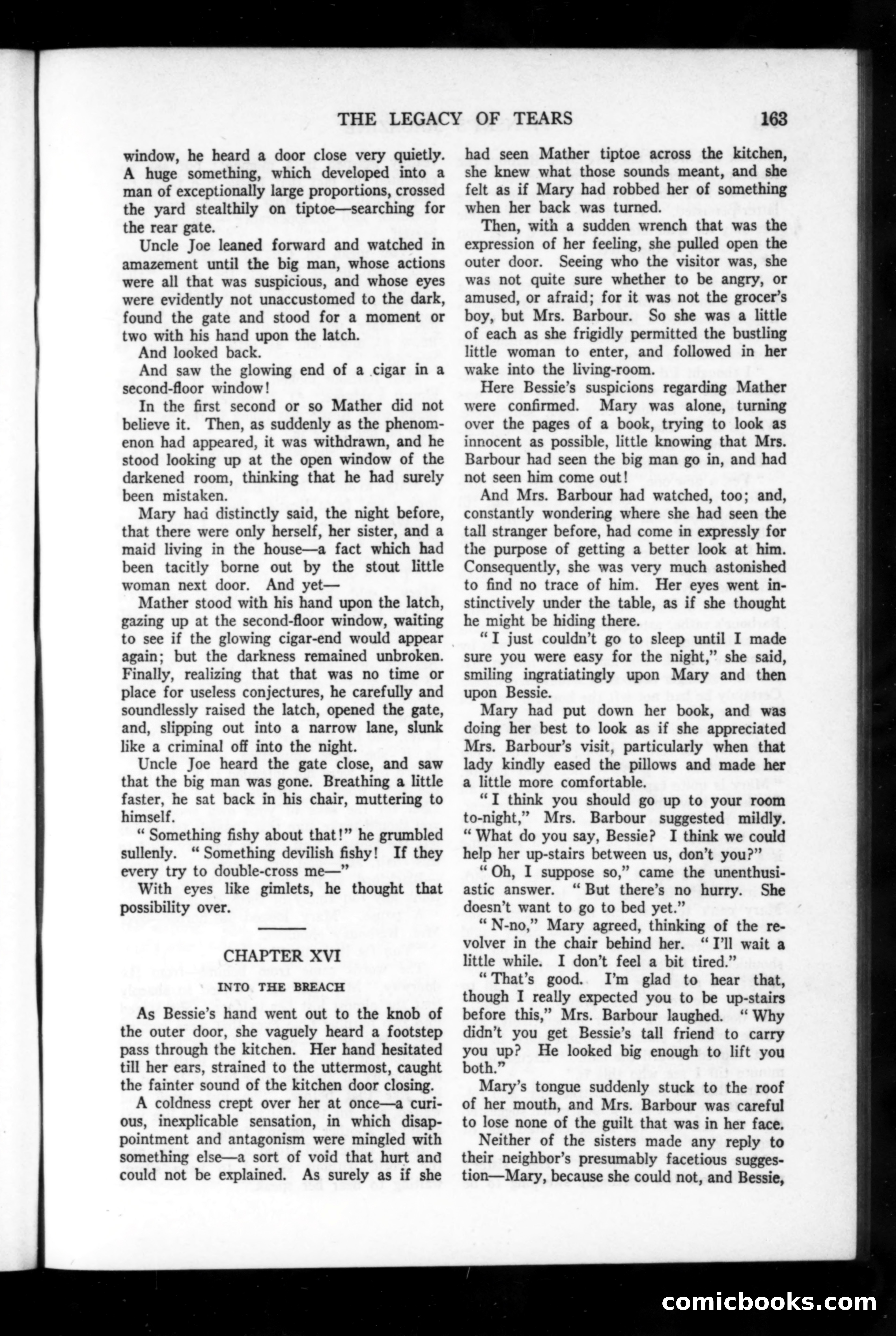Munsey's Magazine, February 1916 — page 163 of 192