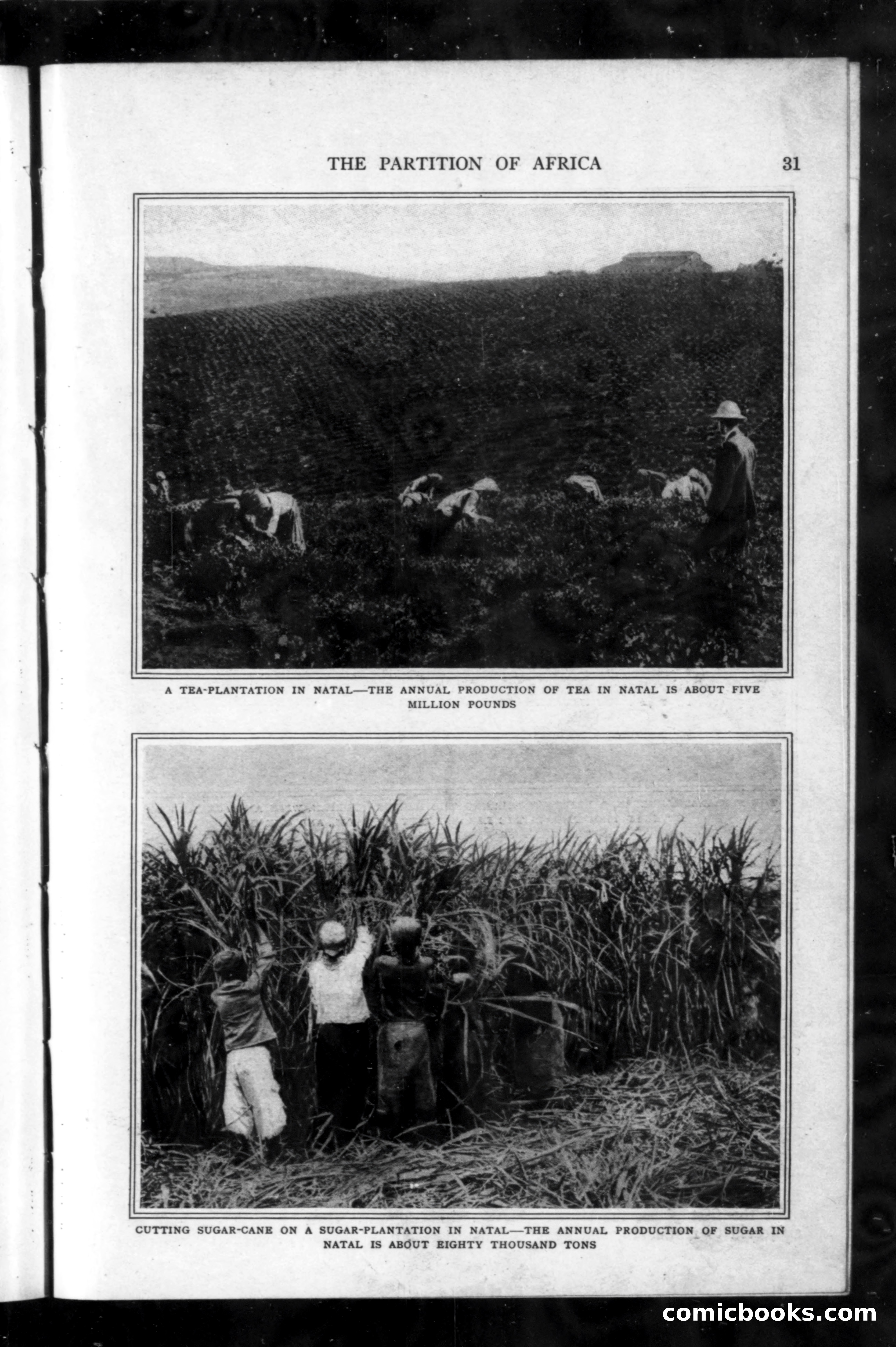 Munsey's Magazine, June 1916 — page 31 of 192