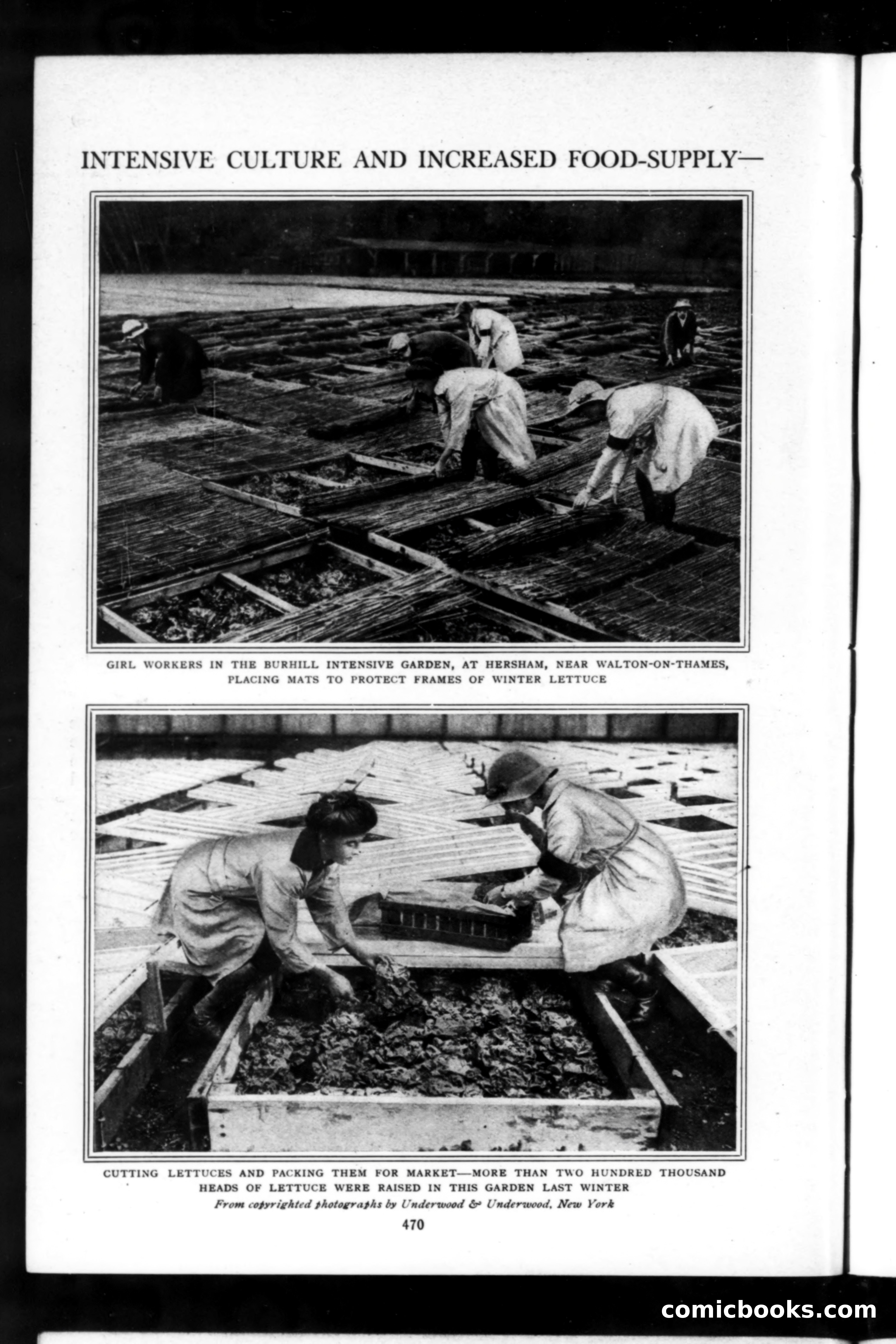 Munsey's Magazine, April 1918 — page 14 of 264