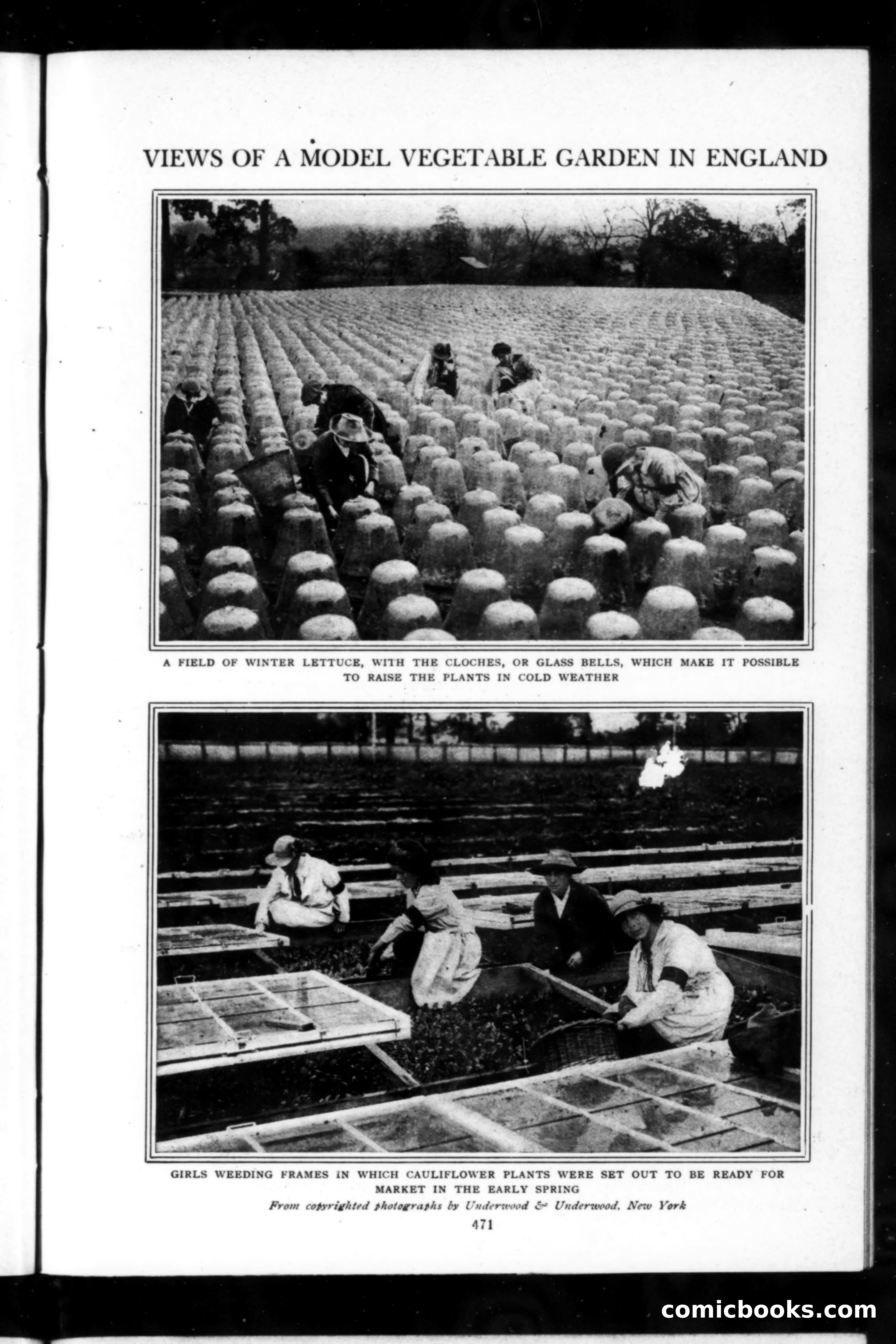 Munsey's Magazine, April 1918 — page 15 of 264
