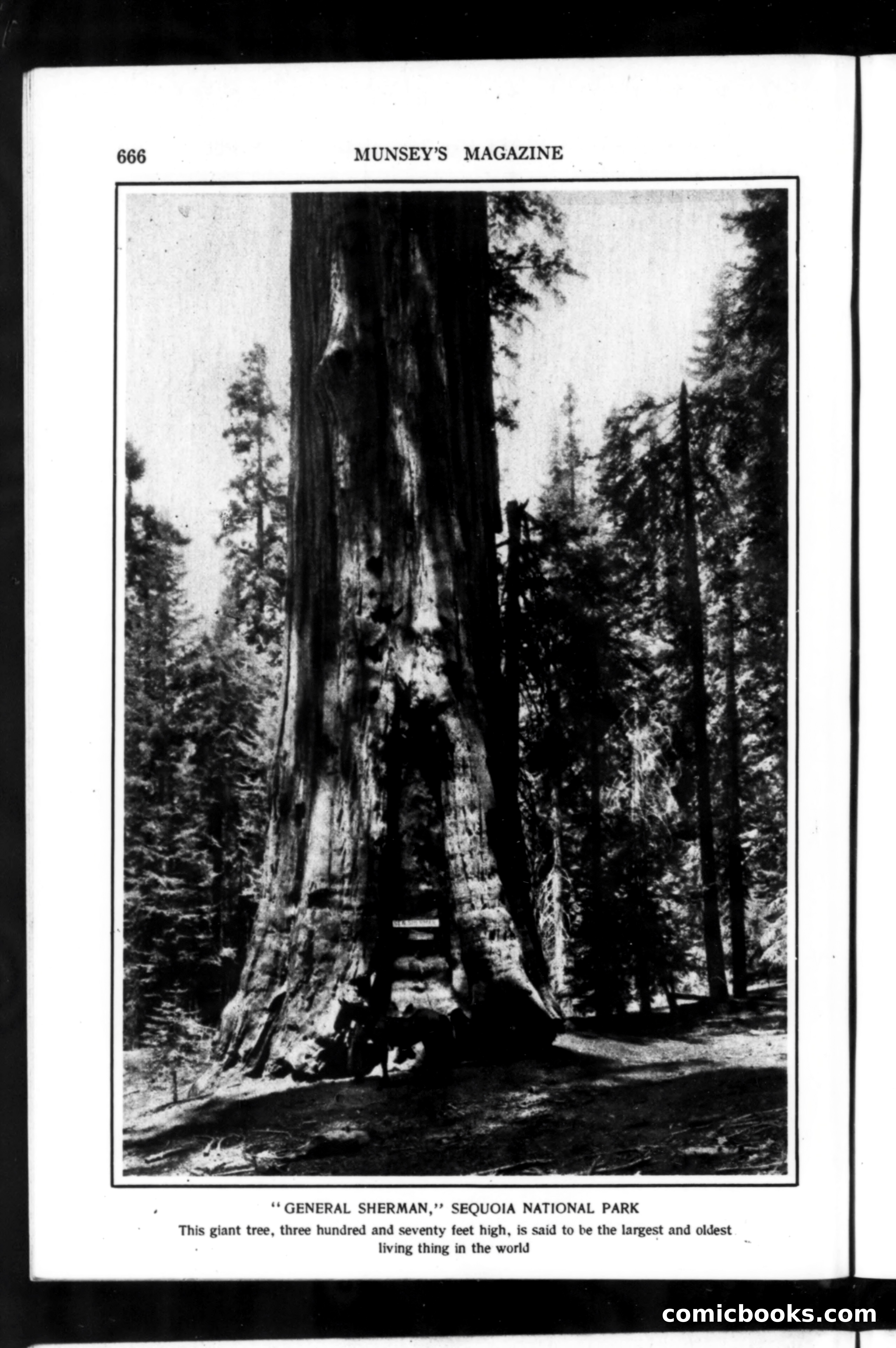 Munsey's Magazine, April 1918 — page 210 of 264