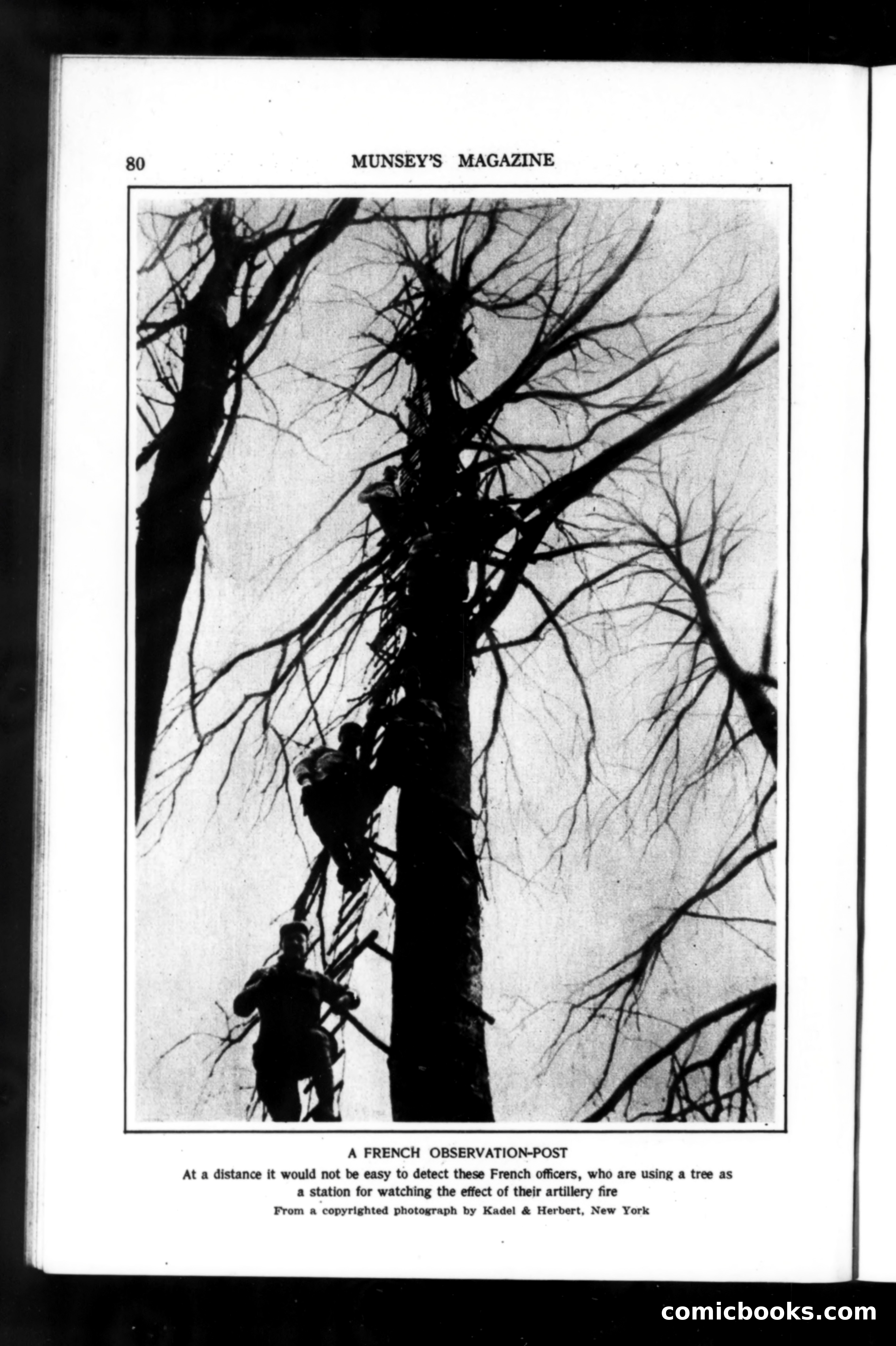 Munsey's Magazine, June 1918 — page 80 of 232