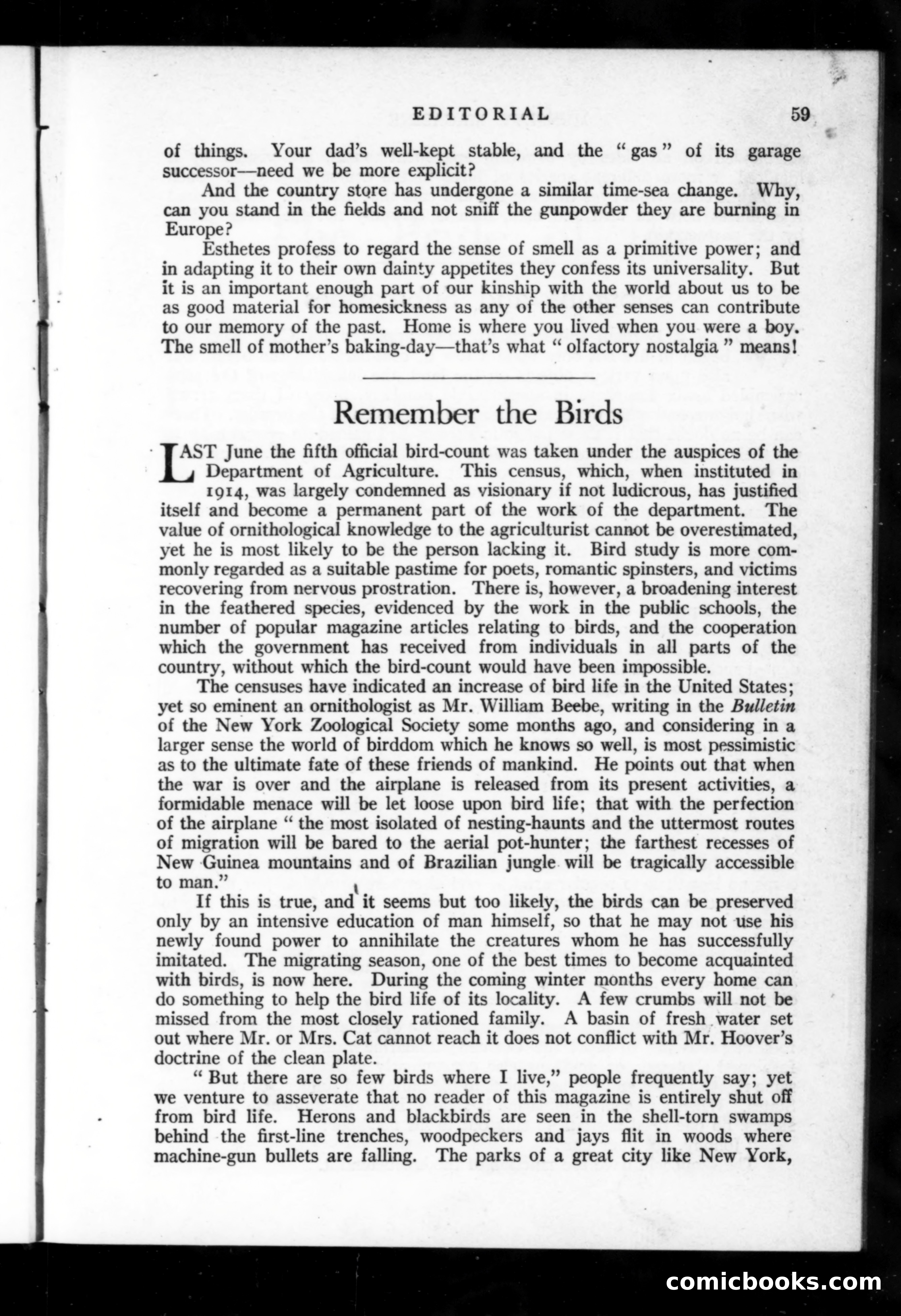 Munsey's Magazine, October 1918 — page 59 of 200