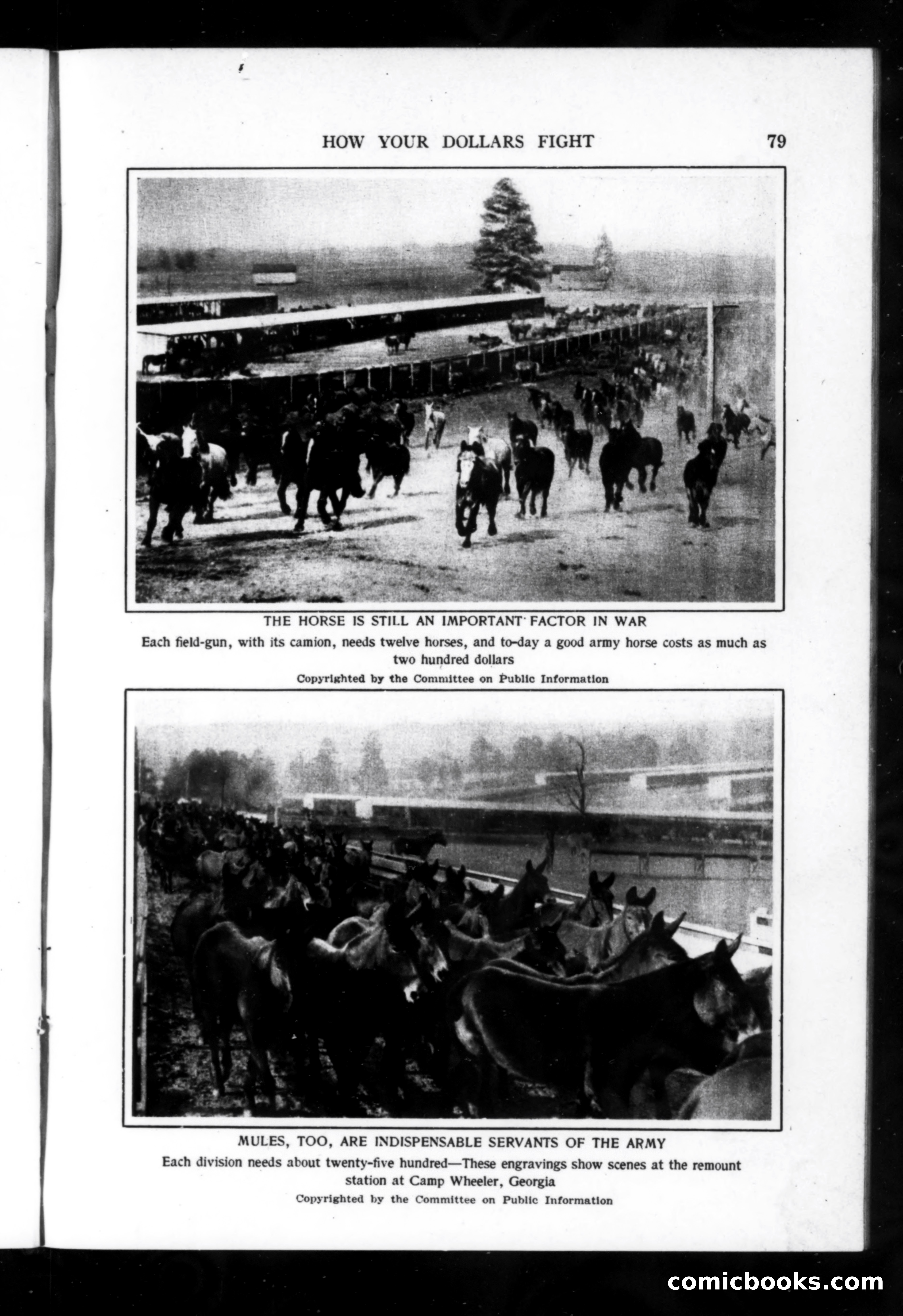Munsey's Magazine, October 1918 — page 79 of 200