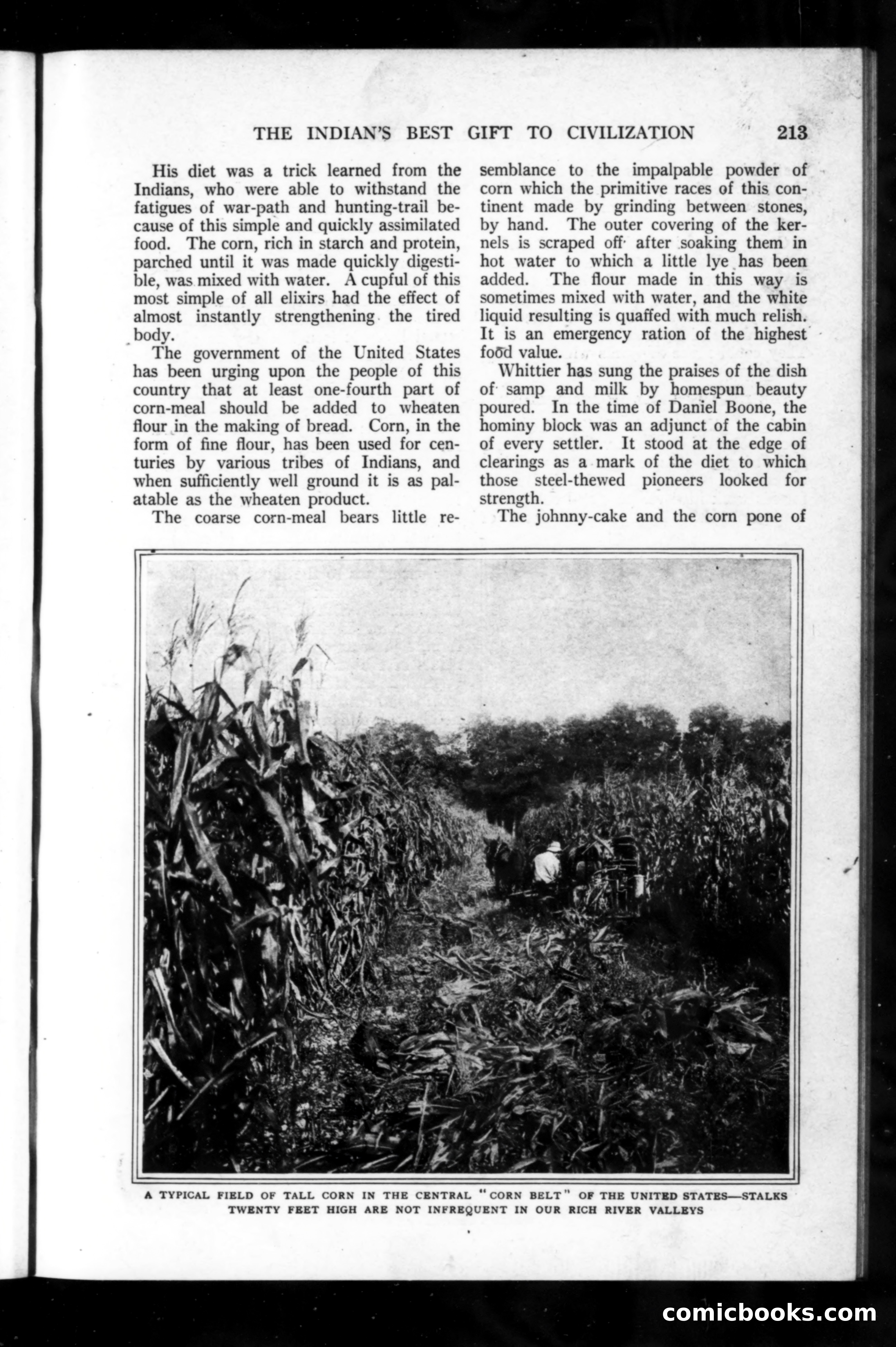 Munsey's Magazine, November 1918 — page 13 of 200