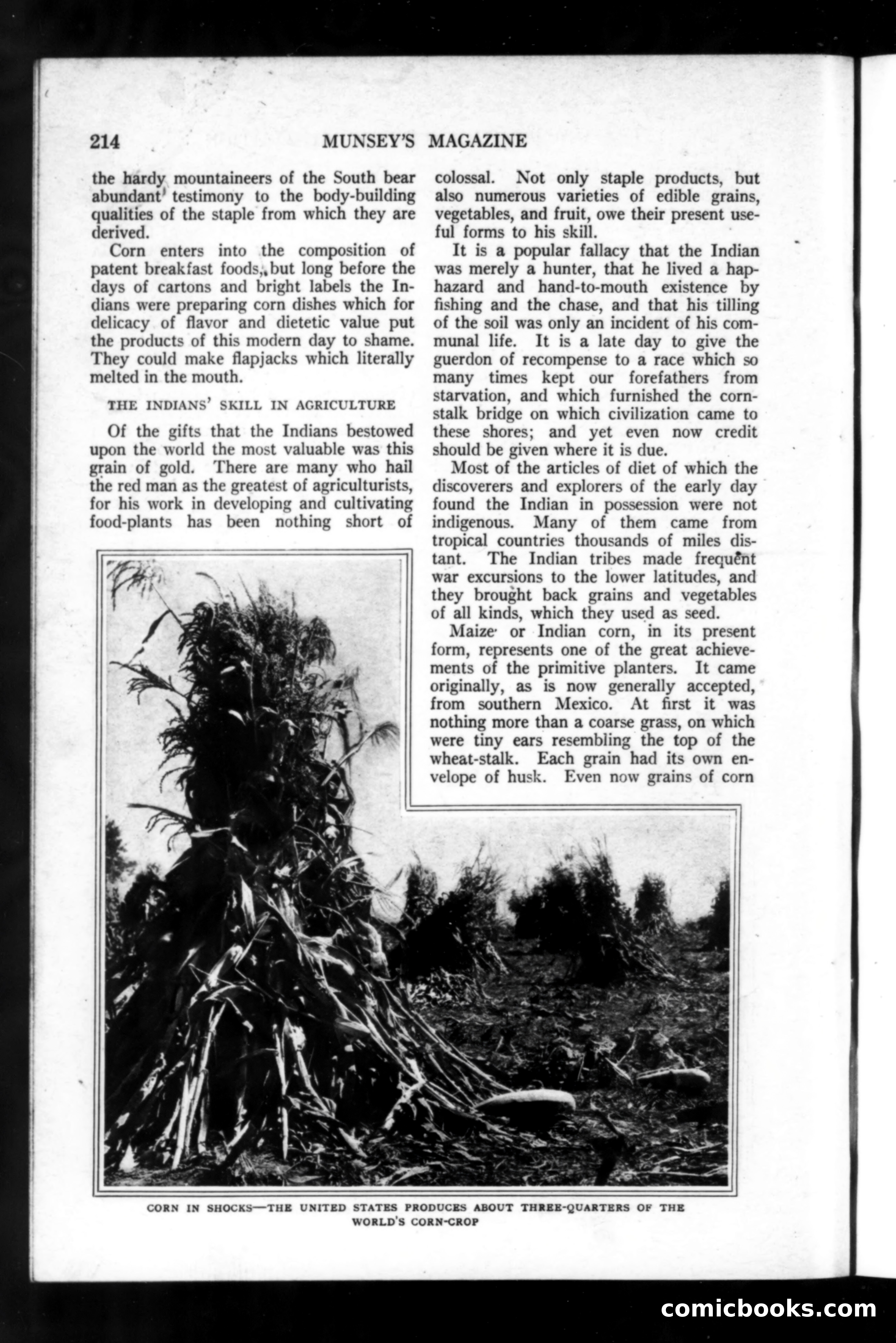 Munsey's Magazine, November 1918 — page 14 of 200