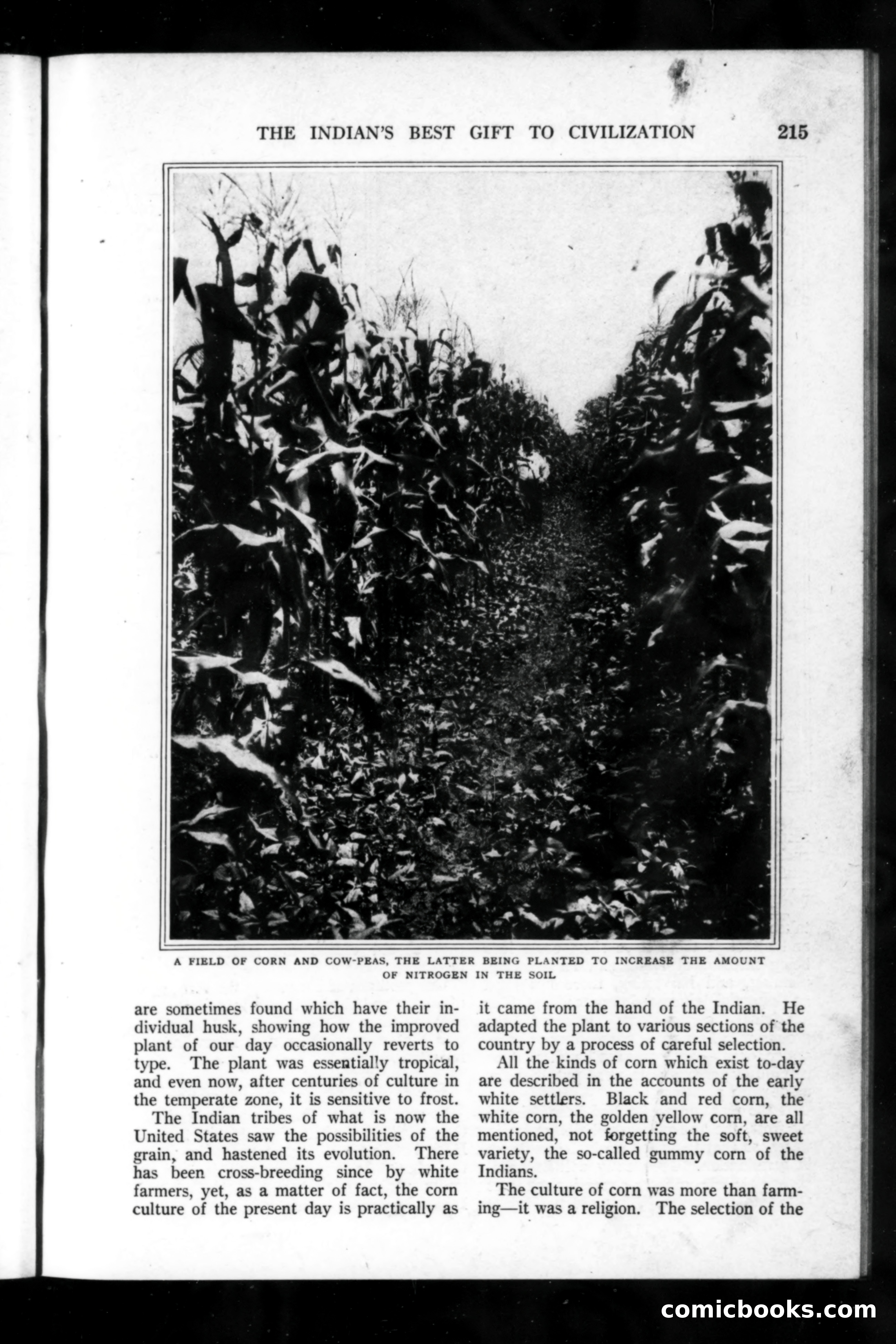Munsey's Magazine, November 1918 — page 15 of 200