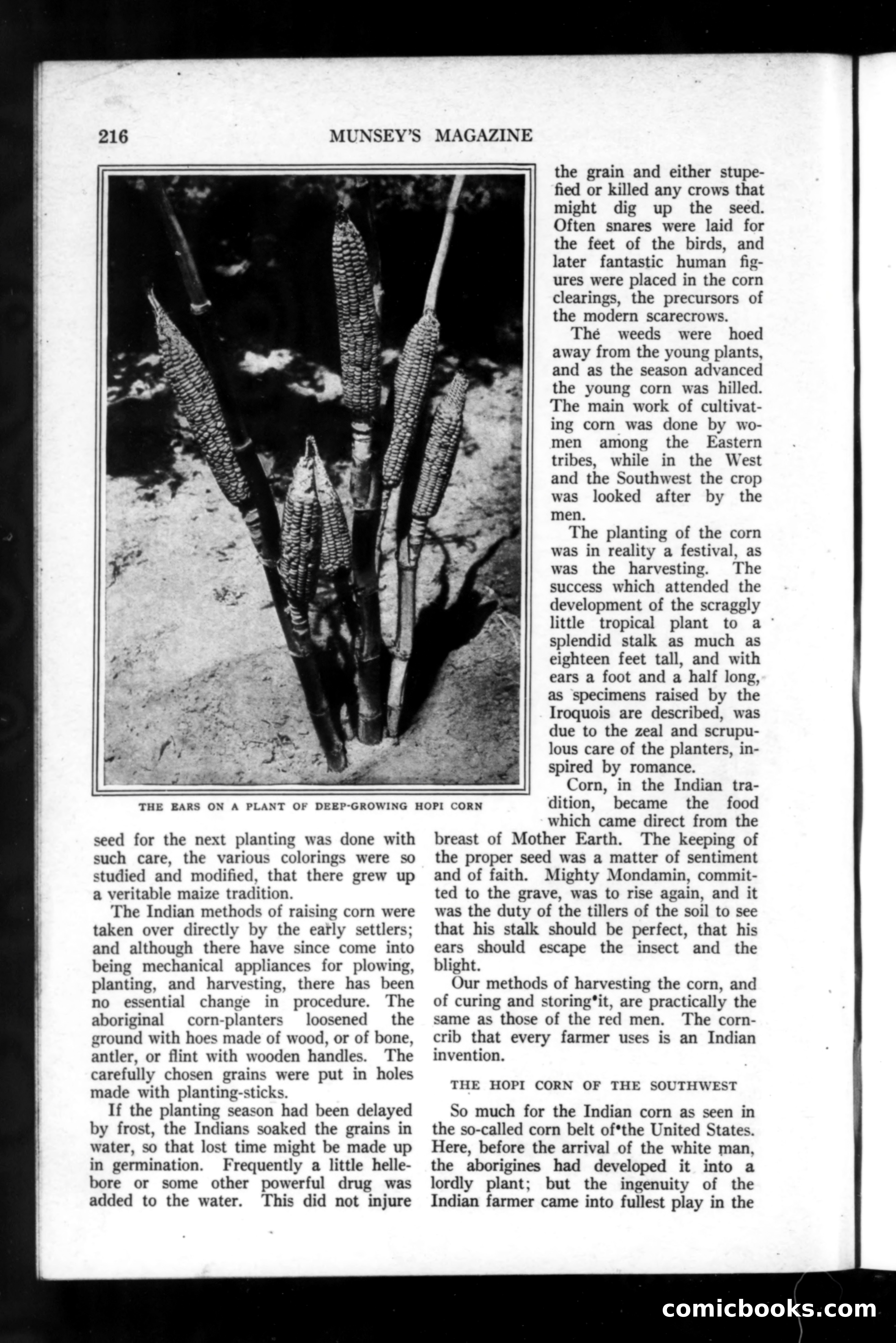 Munsey's Magazine, November 1918 — page 16 of 200
