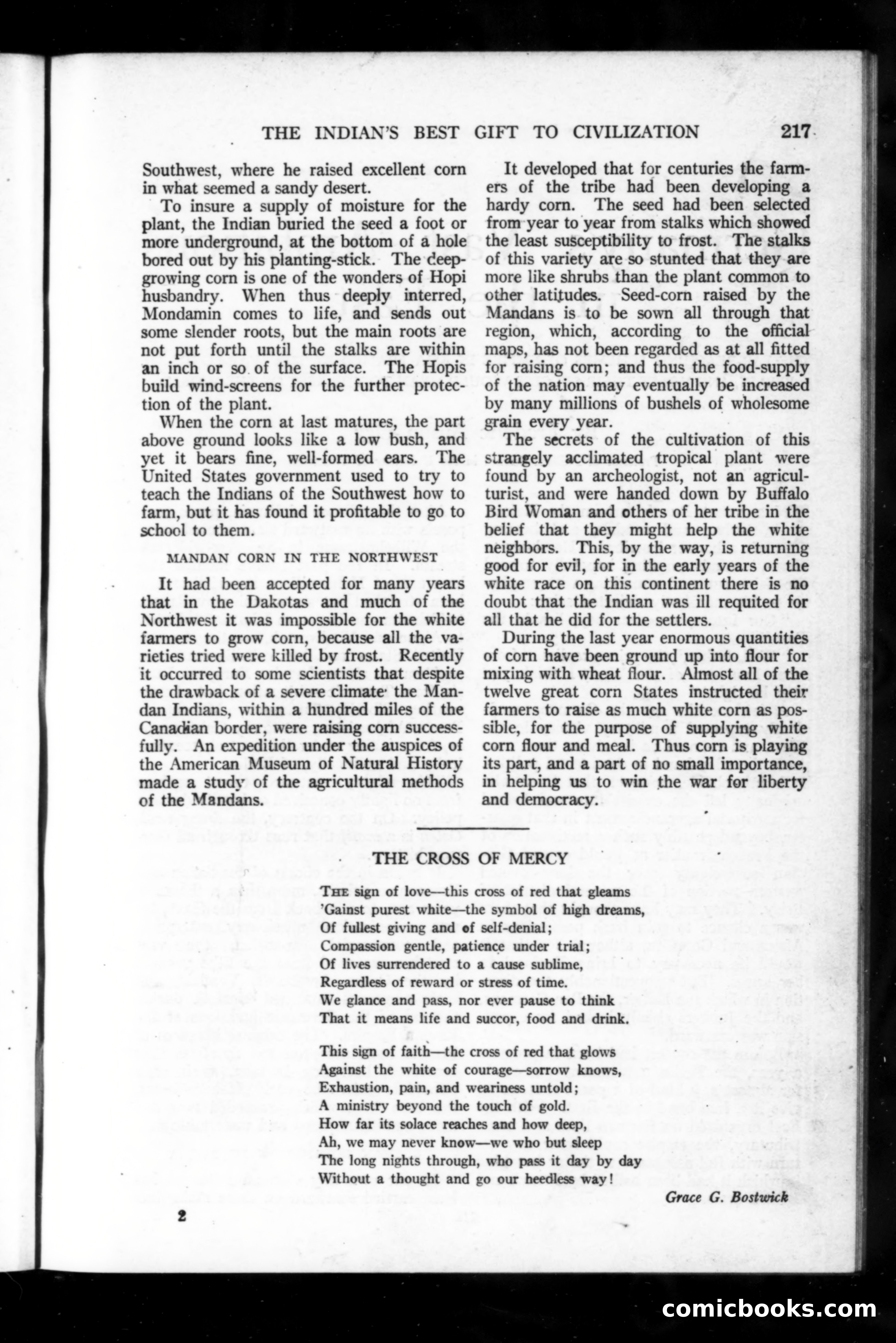 Munsey's Magazine, November 1918 — page 17 of 200