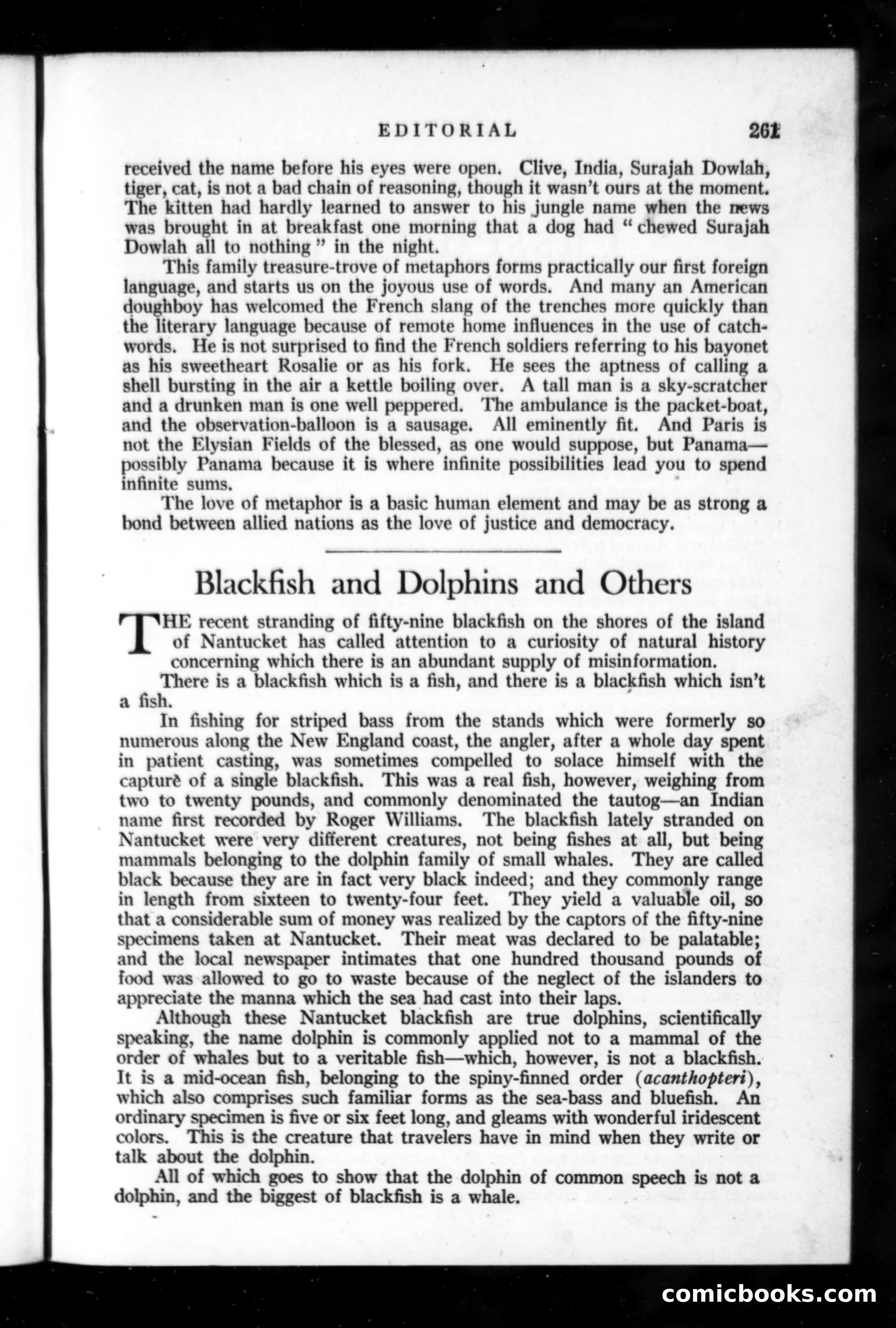 Munsey's Magazine, November 1918 — page 61 of 200